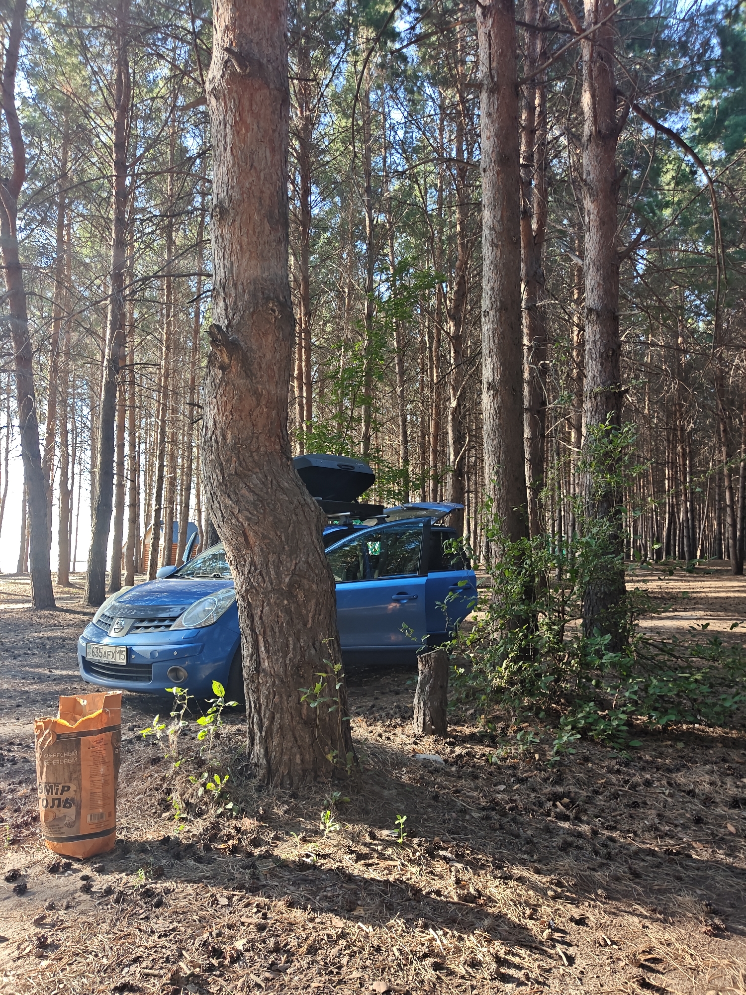 The image shows a blue car parked in a pine forest. The car has a roof rack with a black cargo box. The driver's side door is open. To the left of the car, there is an orange bag. The ground is covered with pine needles and cones. The trees are tall and slender with a sparse canopy, allowing sunlight to filter through. In the background, there is a body of water and a small building. The scene appears to be a campsite or picnic area. The license plate on the car is visible and reads "635AFX15". The text on the orange bag is in Russian and appears to be related to building materials. The overall impression is one of a natural recreational setting.