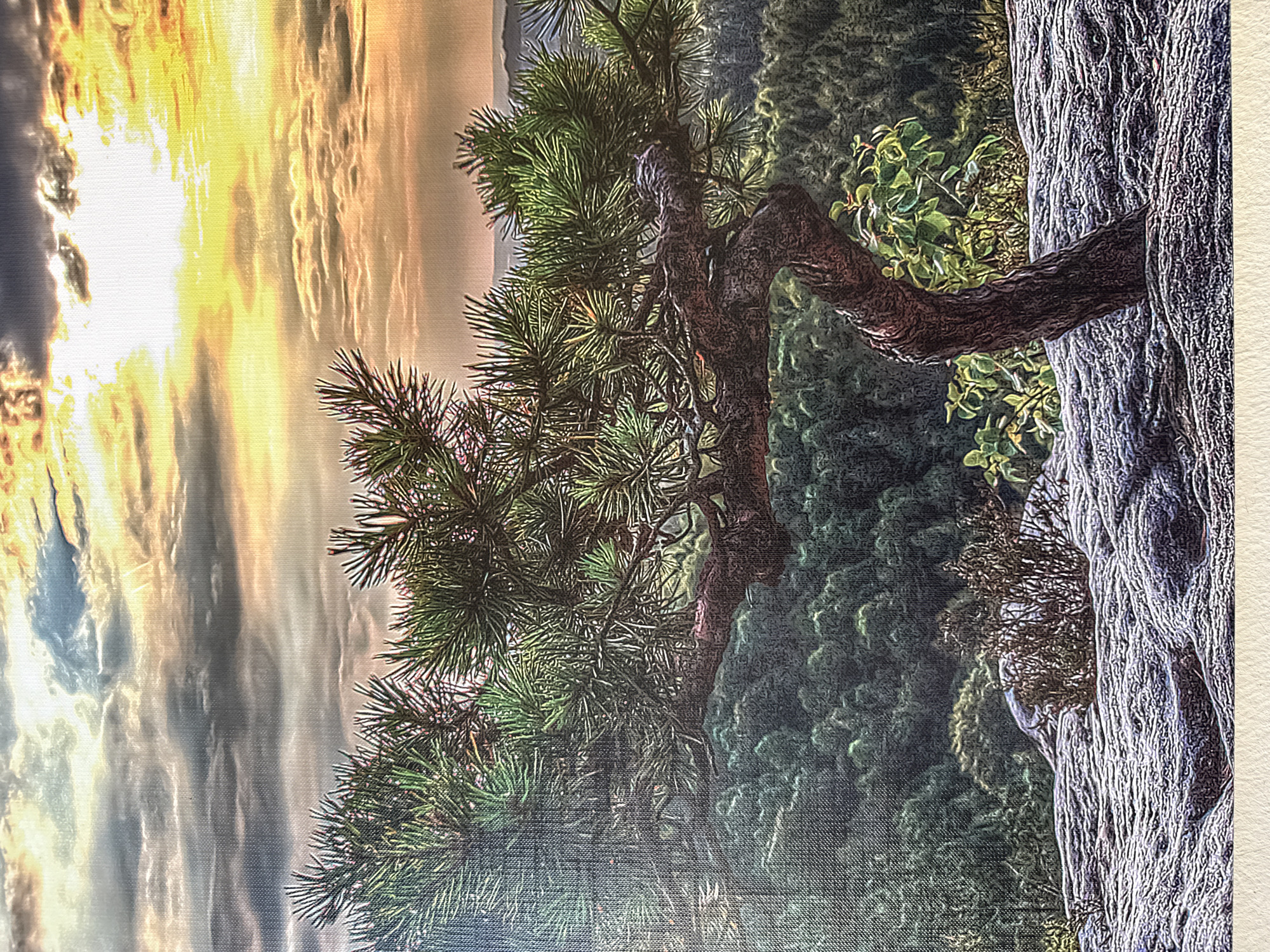 The image depicts a scenic view from the Schwarzburg Castle ruins in Bad Blankenburg, Germany. In the foreground, a gnarled pine tree with vibrant green needles is perched on a rocky outcrop. The tree's trunk is twisted and dark brown, with its branches extending outwards. The rocky surface below is textured and appears to be covered in frost or dew, with patches of dry brush and small green plants.
In the middle ground, a dense, dark green forest covers the rolling hills, creating a textured backdrop. The trees are tightly packed, suggesting a vast woodland area.
The background features a dramatic sky with a mix of dark, dramatic clouds and bright, sunlit areas. The sun is partially obscured by clouds, casting warm, golden light across the scene, with rays of light filtering through the gaps. The overall impression is of a serene and wild natural landscape, likely captured during either sunrise or sunset.