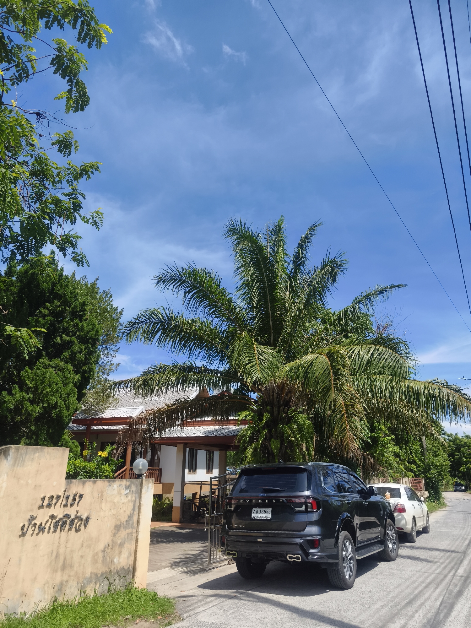 The image depicts a bright, sunny day in Baan Hua Thanon, Thailand. A light beige, textured concrete wall with raised dark lettering is in the foreground on the left. The lettering appears to be a combination of numbers and Thai script. To the right of the wall, a paved driveway leads into a property. Two cars are parked on the driveway, with the rear of a dark SUV prominently displayed on the left. The SUV is black with silver trim and has a license plate that reads "700 3659". Behind it is a lighter-colored sedan.
The property behind the wall and cars features a house with a light-colored roof and brown trim. A large palm tree with expansive fronds dominates the central and right portions of the frame, its leaves creating a partial canopy over the scene. Green foliage, including trees and bushes, surrounds the house and borders the driveway. Overhead, power lines stretch across the clear blue sky, which is dotted with a few wispy white clouds. The overall scene suggests a residential area in a tropical climate.