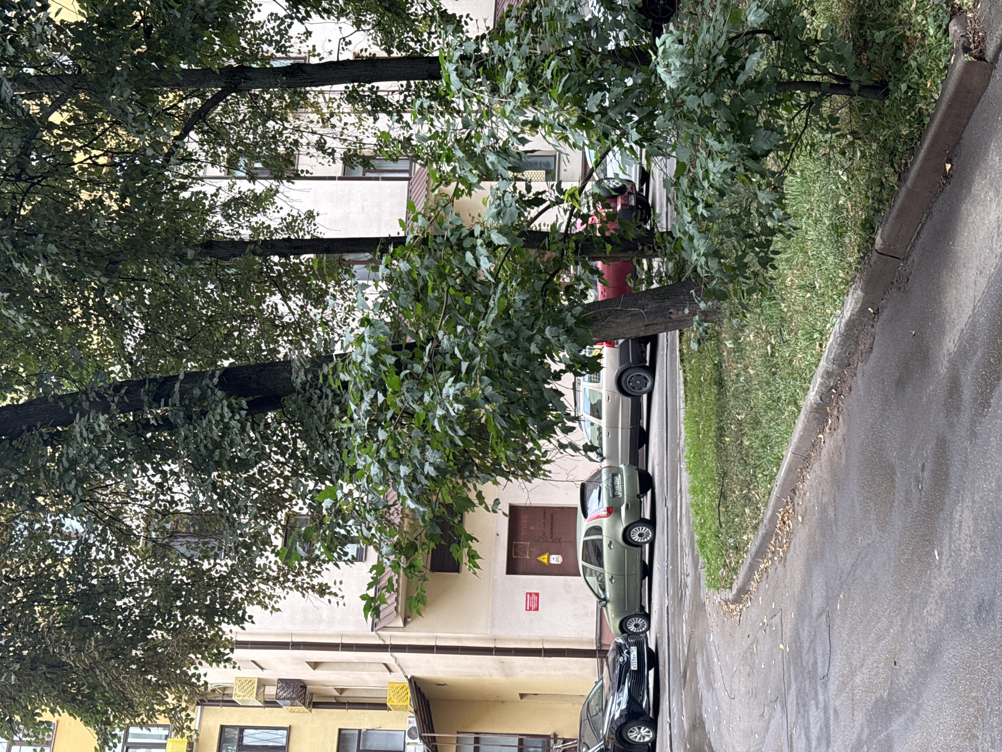 The image depicts a street scene in Moscow, Russia, with a building and parked cars in the background. The building appears to be residential, with multiple stories and windows. Several cars are parked along the street, including a black sedan, a green hatchback, and a silver SUV. Trees with dense green foliage line the street, providing shade. The ground is paved with asphalt, and there is a strip of grass and a curb separating the road from the building. The overall impression is of a typical urban environment on an overcast day, with signs of everyday life.