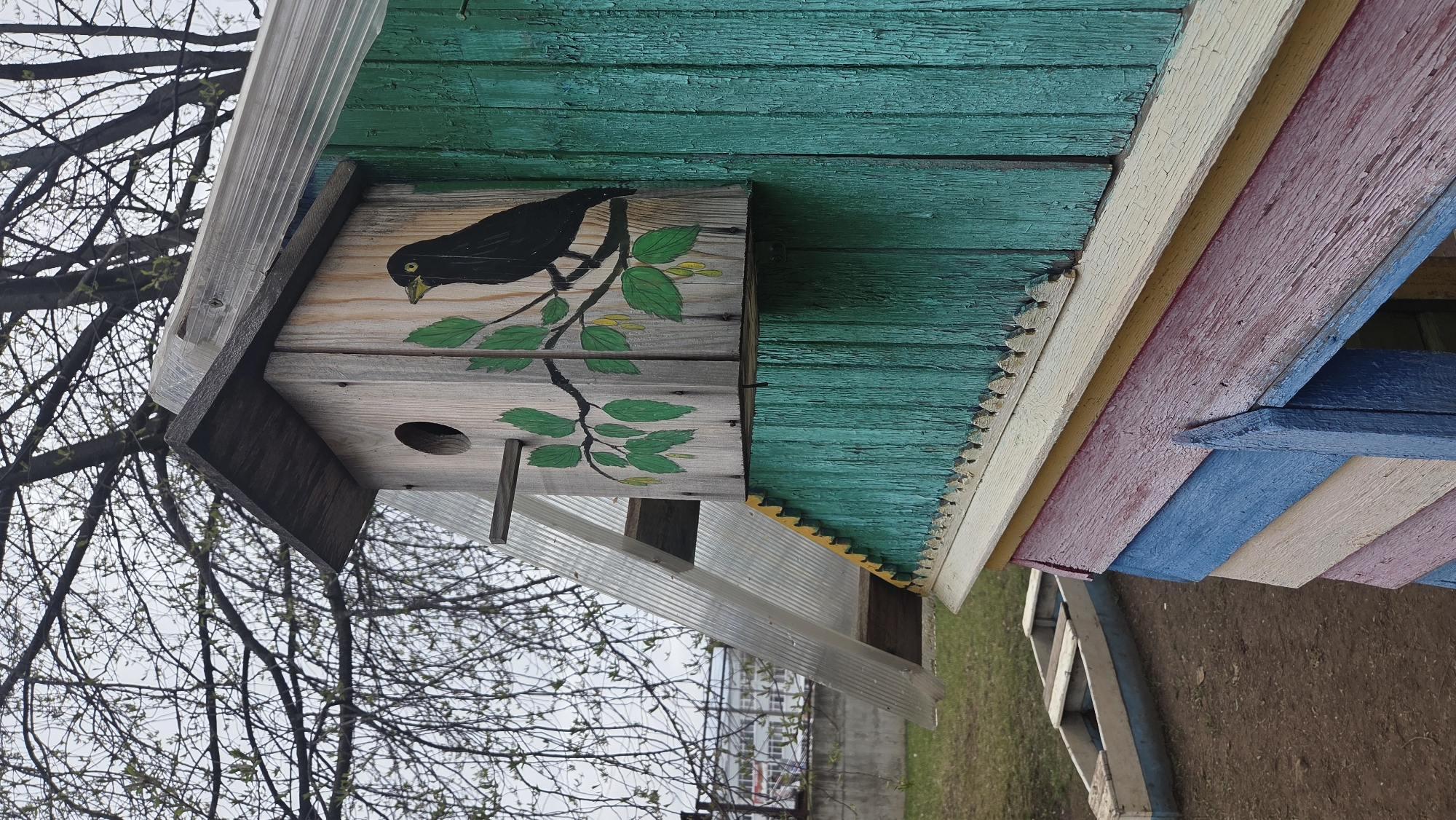 A wooden birdhouse, adorned with a hand-painted black bird with a yellow beak perched on a leafy green branch, hangs prominently in the frame. The birdhouse itself is light-colored wood, featuring a circular entrance hole and a small perch below. Above and to the right, a weathered wooden structure, possibly a porch or shed roof, displays horizontally laid planks painted in peeling, vibrant colors including green, yellow, pink, and blue. A translucent, corrugated plastic sheet, likely serving as an additional roof or part of a larger shelter, extends over the birdhouse.
The scene is set outdoors under an overcast sky, with a backdrop of trees featuring mostly bare branches with hints of small green buds, indicating early spring. Patches of green grass and brown soil are visible towards the bottom right. A distant building can be vaguely seen through the branches. The overall impression is one of rustic charm, marked by the distressed paintwork and natural elements, in Chaikovsky, Russia. There is no visible text or direct activity taking place.