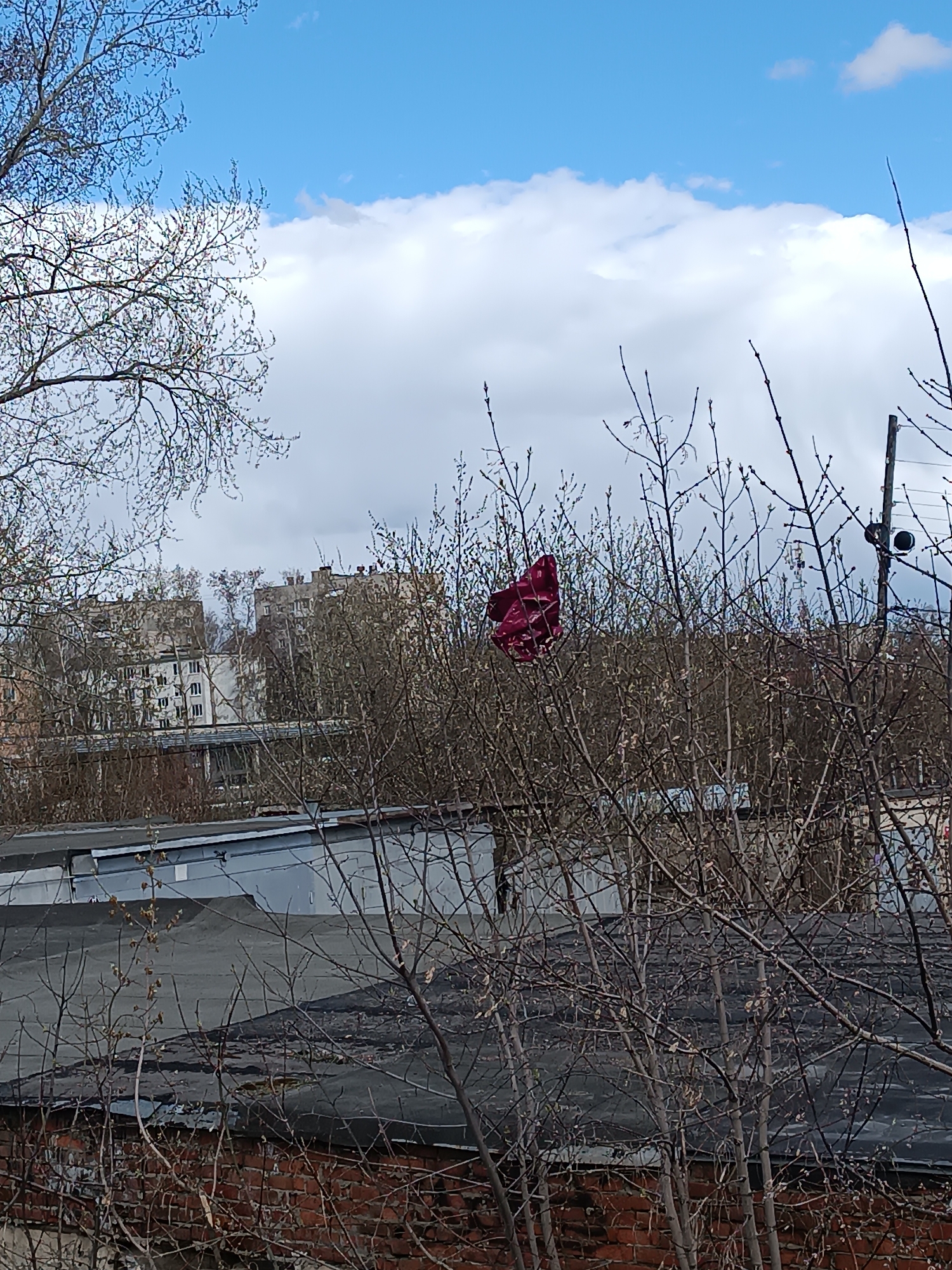 The image displays a daytime urban or semi-urban landscape, located in Chaikovsky, Russia. In the foreground, the top edge of a red brick wall is visible, along with a flat, dark-colored roof, possibly from a garage or industrial structure. The mid-ground is densely filled with the bare, leafless branches of numerous trees and bushes, indicating either late winter or early spring. Caught within these branches, slightly to the left of the center, is a crumpled red object, appearing to be a piece of fabric or plastic.
Beyond the intricate network of branches, several multi-story residential buildings, likely apartment blocks, are visible in the background, their light-colored facades rising above the tree line. Utility poles and other structural elements also dot the distant skyline. The sky above is partly cloudy, featuring patches of bright blue interspersed with large, white clouds. There are no people or discernible text visible in the frame, and the scene is static, capturing an ordinary moment in this urban setting.