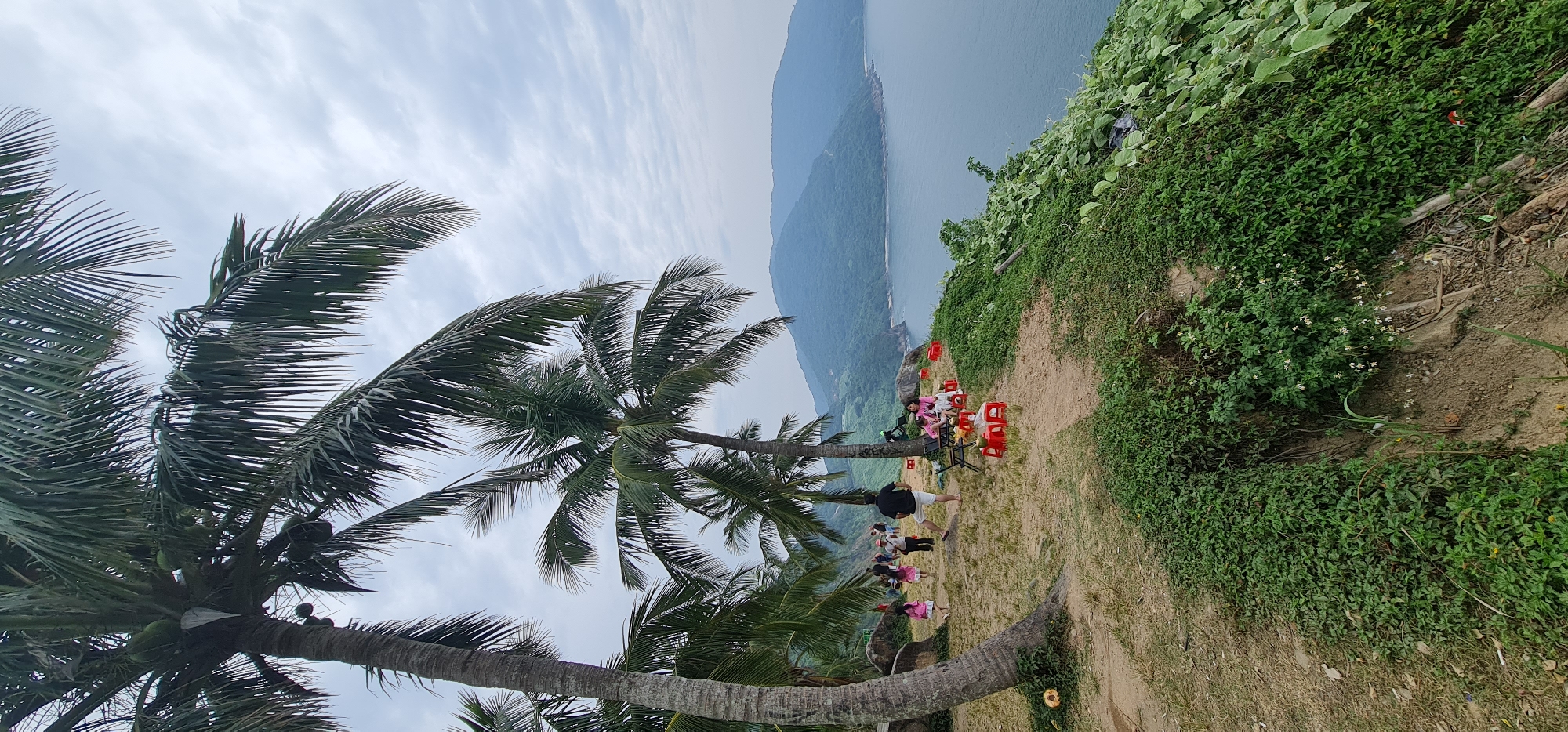 The image captures a vibrant coastal landscape in Đà Nẵng, Vietnam, from an elevated viewpoint, looking out over a body of water towards distant mountains. The scene is set under a partly cloudy sky, with soft, diffused light suggesting daytime.
In the immediate foreground, several tall palm trees dominate the left side of the frame, their fronds reaching upwards and swaying, indicating a gentle breeze. Some coconuts are visible among the fronds. The ground beneath the trees is a mix of sandy earth and lush green vegetation, with small white flowers growing in patches.
Midground shows a gathering of people enjoying the panoramic vista. A group of individuals, some seated on small red plastic stools around low tables, are spread across a grassy, earthy patch. They appear to be relaxing and socializing, possibly enjoying drinks or snacks. One person is standing near the tables. Further down the slope, more green foliage covers the terrain leading to the edge of a cliff or steep drop-off. A discarded coconut shell is visible on the ground near one of the palm tree trunks.
Beyond the immediate foreground, the vast expanse of the sea or a large bay stretches out, meeting the horizon where multiple layers of mountains rise, their hazy blue silhouettes fading into the distance. The overall atmosphere is one of casual leisure and appreciation for nature's beauty in a tropical setting. No discernible text is visible in the image.