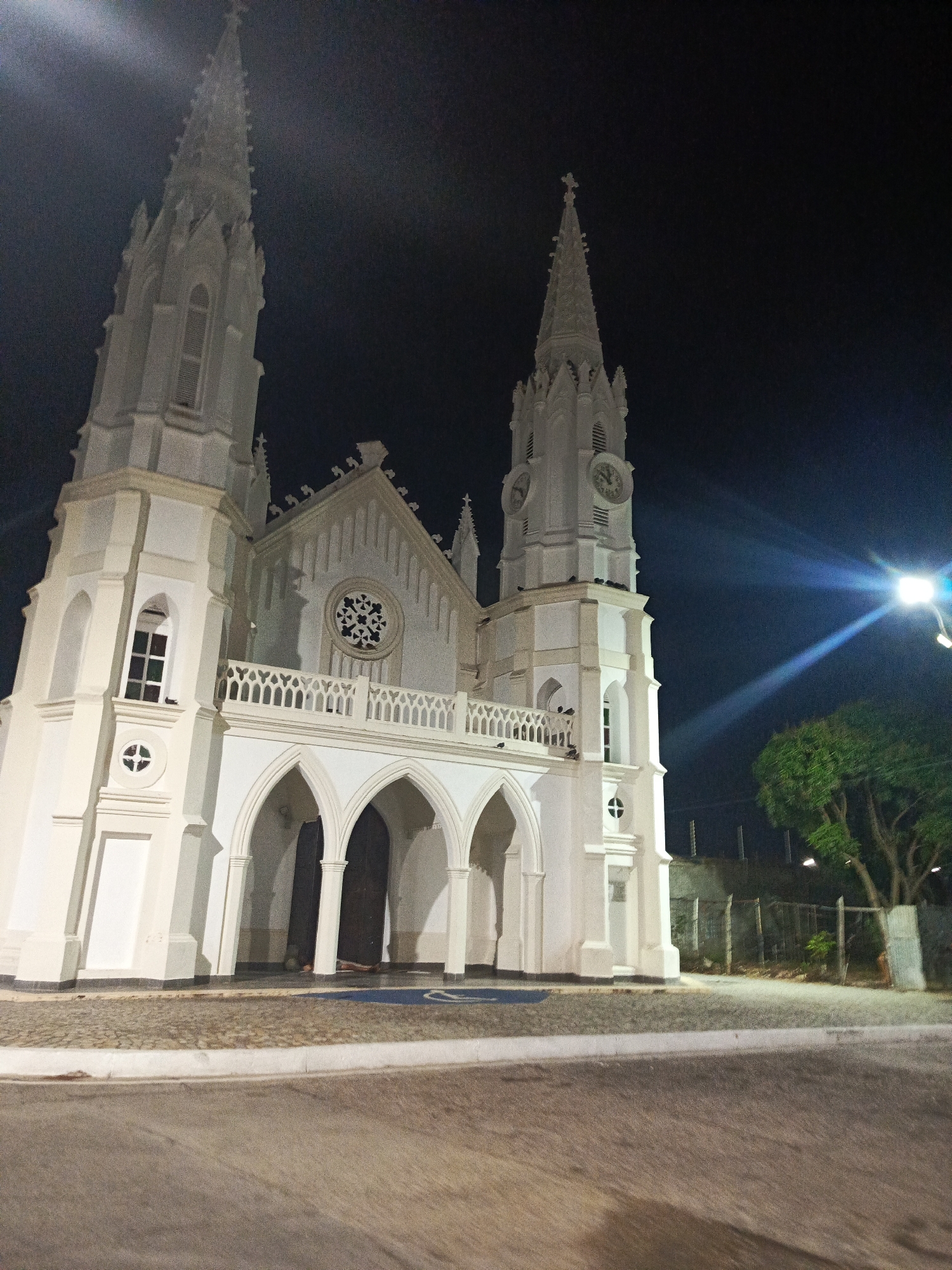 The image displays a large, white Gothic Revival style church at night in Juan Griego, Venezuela. The church features two tall, slender spires, each topped with a cross, rising against a dark, starless sky. The right spire incorporates four clock faces, one of which is visible. The central facade includes a triple-arched portico with dark wooden doors, surmounted by an ornate white balustrade and a large circular rose window with intricate tracery. The church exterior is brightly illuminated, emphasizing its architectural details. In the foreground, a light-colored cobblestone or paved area transitions to a darker asphalt street via a white curb. A blue marking, possibly a handicapped parking symbol, is faintly visible on the paved area near the church entrance. To the right of the church, a bright streetlight emits a distinct lens flare, illuminating a verdant tree and a fence structure in the background. Numerous small, dark avian figures, consistent with pigeons, are perched on ledges and decorative elements of the church's right tower and balustrade. No human figures are discernible in the scene.