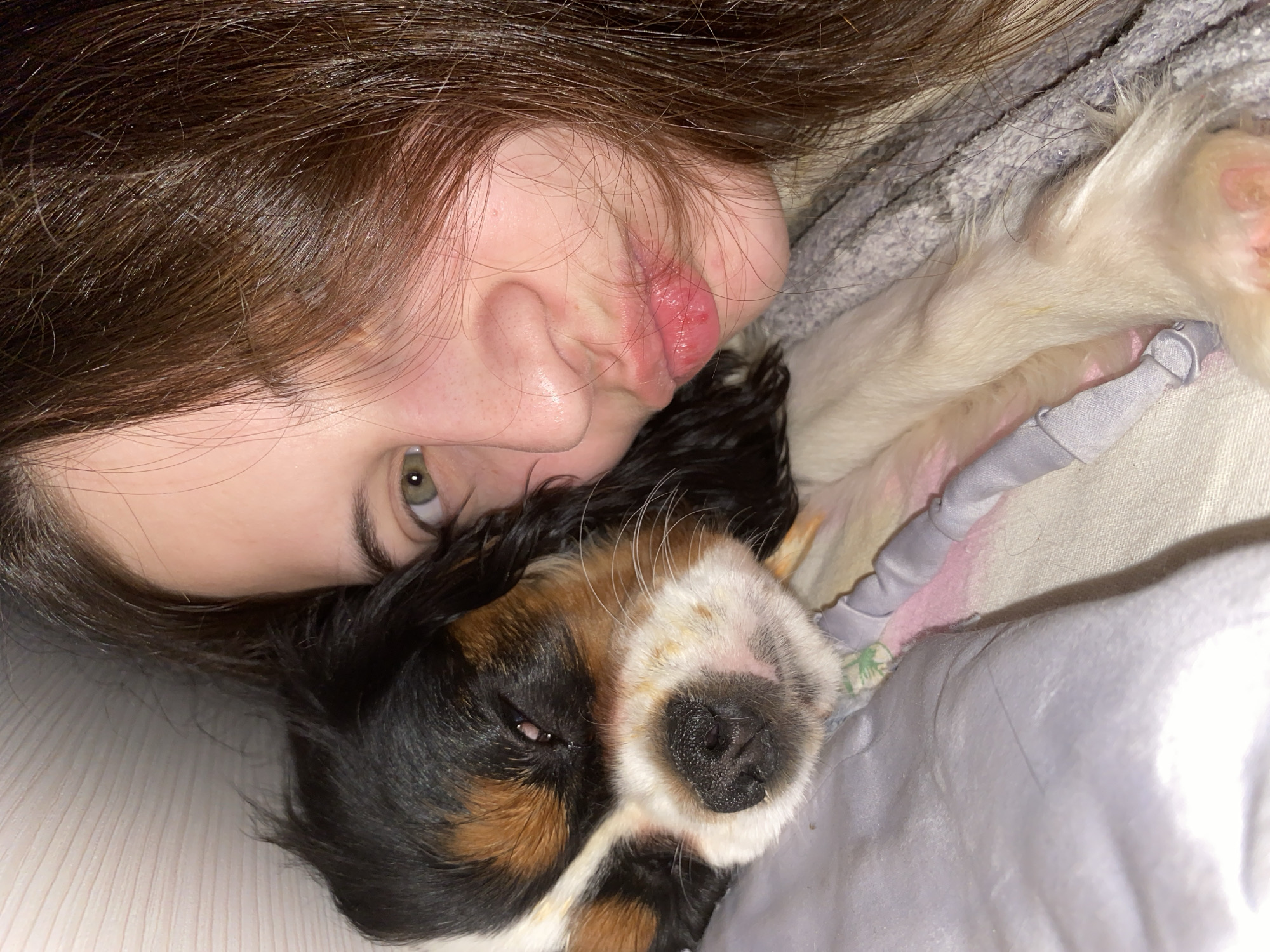 A young woman with dark brown hair and green eyes is lying down next to a Cavalier King Charles Spaniel dog. The woman is pouting her lips. The dog is lying on a bed covered with patterned and plain gray fabric. The location is not identifiable as Votkinsk, Russia.