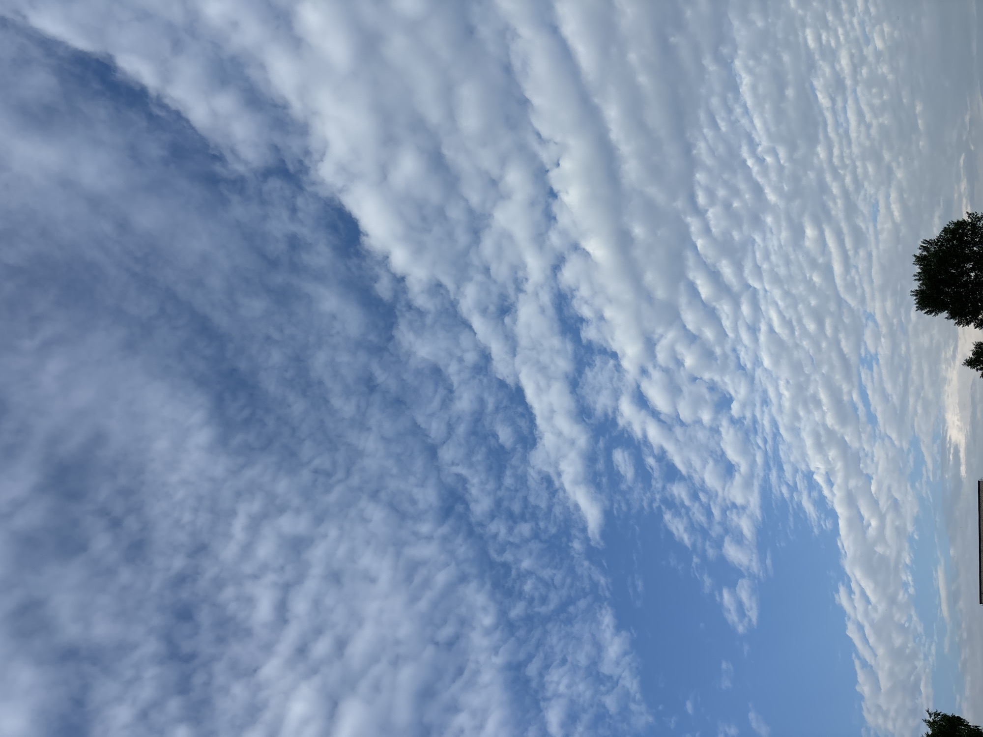 The image shows a cloudy sky over Chaikovsky, Russia. The clouds are white and fluffy, and they are scattered across the blue sky. The clouds are arranged in rows, and they appear to be moving from left to right. The sky is bright, and the sun is shining through the clouds. In the foreground, there is a row of trees, and a small building.