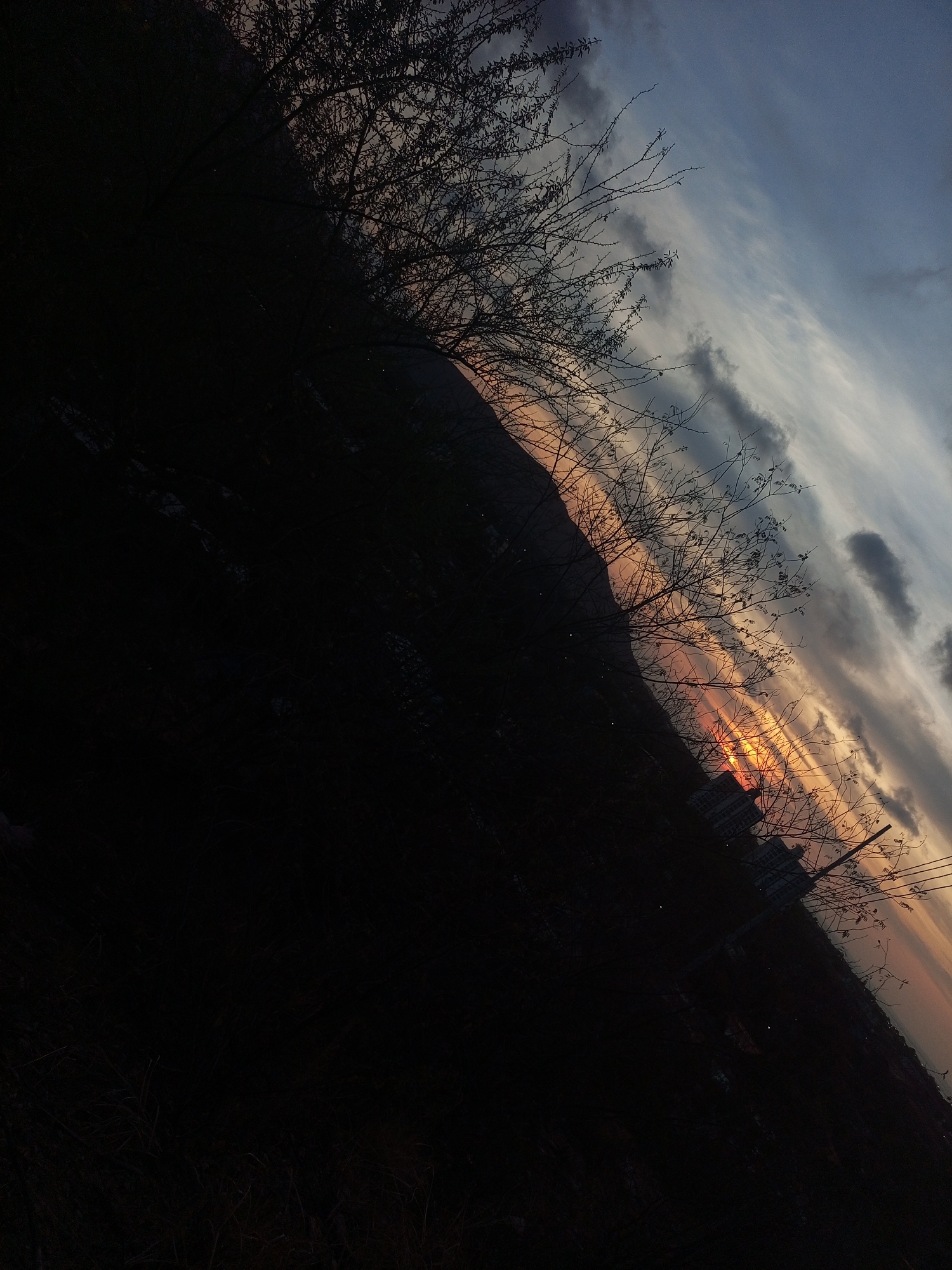 A dusk or dawn landscape photograph is rotated diagonally with the top left corner at the highest point. The upper-right sky transitions from gray-blue to a light orange. Bare tree branches, silhouetted in black, extend across the top half of the frame. A dark, sloping landmass occupies the bottom left, obscuring details. Faint orange light illuminates a distant mountain range. Buildings, possibly in the city of Juan Griego, Venezuela, are faintly visible in the middle-right, obscured by the branches.