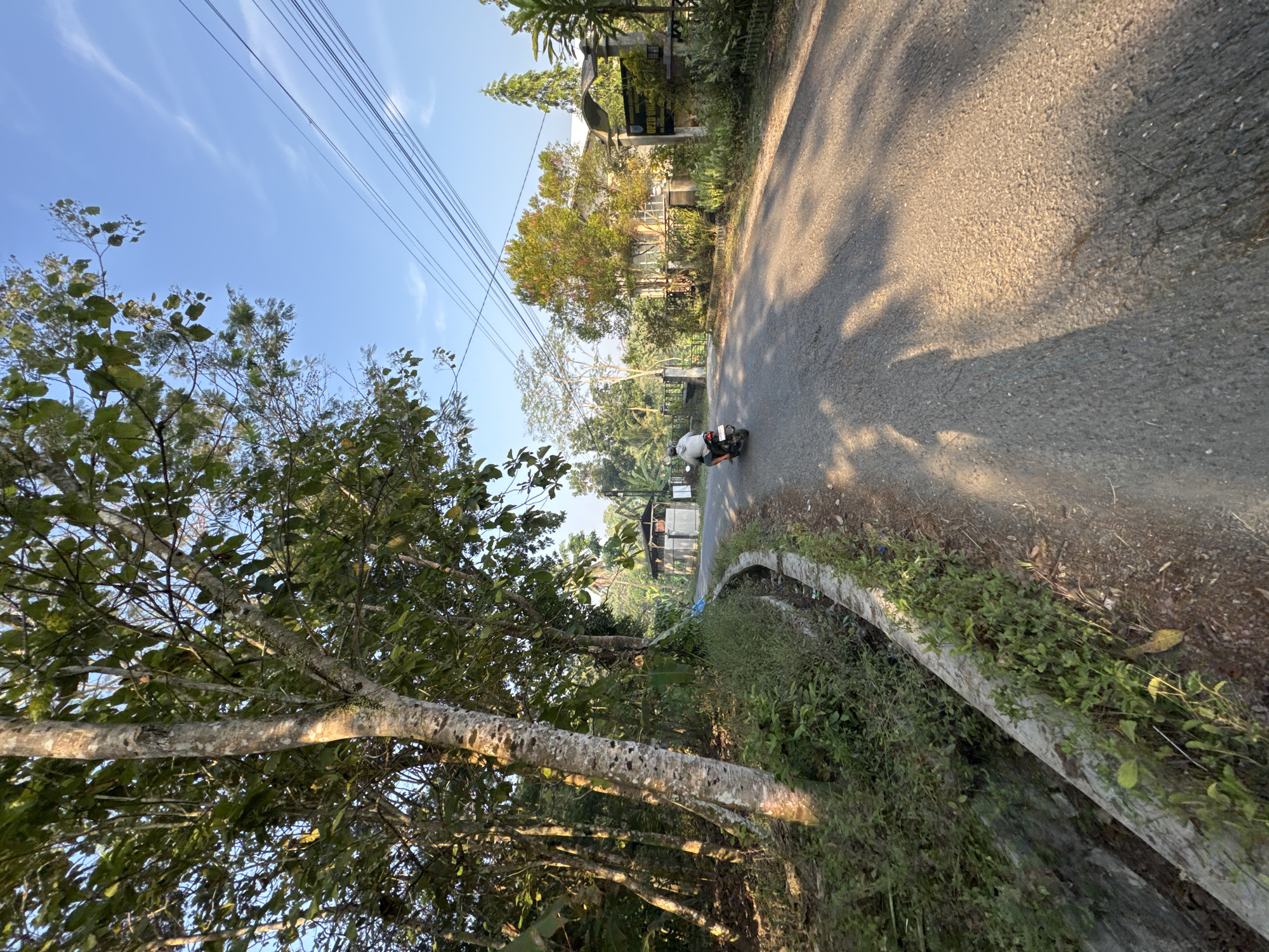 The image depicts a rural road in Alian, Indonesia, likely taken during the morning or late afternoon due to the long shadows cast across the asphalt. A single individual is riding a scooter on the right side of the road, heading away from the camera. The road is lined with vegetation, including trees and bushes, and a small concrete drainage ditch runs along the left side. In the background, a building with an arched entrance and signage is visible, suggesting a public or institutional location. Power lines are strung across the clear blue sky, and trees with green and autumnal foliage dot the landscape. The overall scene conveys a sense of tranquility in a tropical or subtropical rural setting.