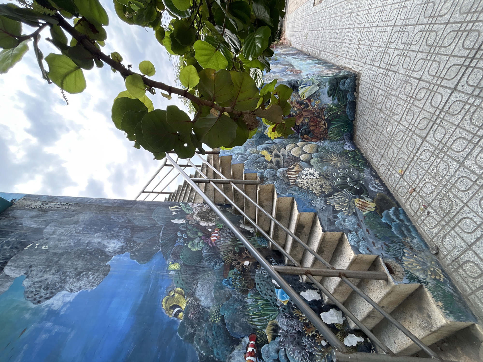The image shows an outdoor staircase with a metal railing, positioned in Bac Natural Heritage Area Trang, Vietnam. The wall adjacent to the stairs is painted with a mural depicting a coral reef environment, featuring various fish and marine life. Overhanging the scene is foliage from a tree with large, round leaves. Above the foliage, the sky is visible, with cloudy conditions. A tiled walkway runs alongside the painted wall. The image has been rotated, giving a distorted perspective of the scene.