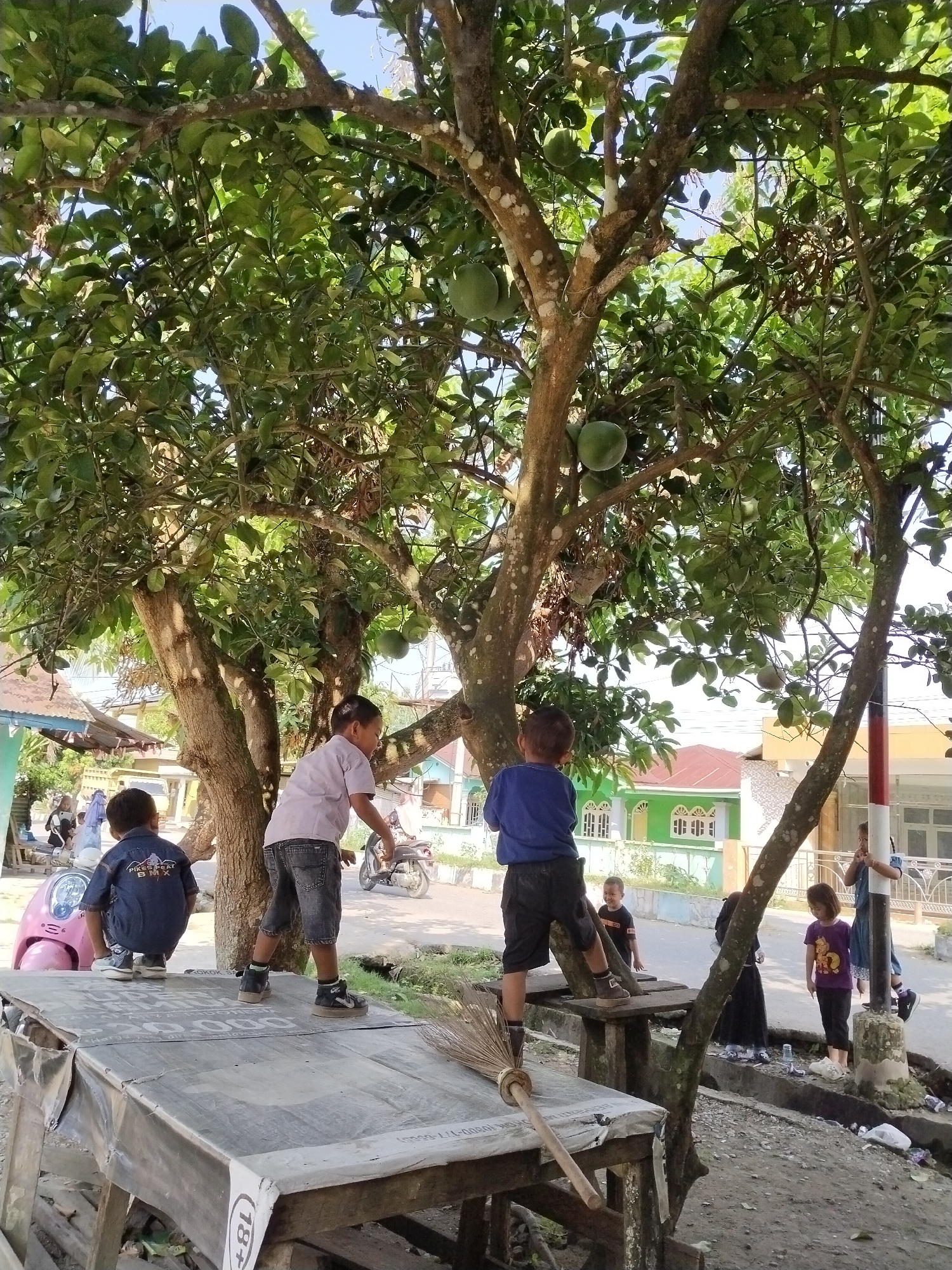 A group of children are gathered under a large tree with fruit in a street scene in Sawit Seberang, Indonesia. The tree's branches spread wide, creating a canopy overhead. In the foreground, two boys are standing on a makeshift wooden platform. One boy, wearing a blue shirt and black shorts, is facing away from the camera. The other boy, in a light-colored t-shirt and dark shorts, is also on the platform, looking to the side. To the left, a pink scooter is parked. In the background, other children are visible, one in a dark dress and another in a purple shirt. A motorcycle is also seen further down the street. Buildings with green and white facades are visible behind the children. The ground is a mix of dirt and some scattered debris. The overall atmosphere suggests a casual, outdoor gathering in a residential area.