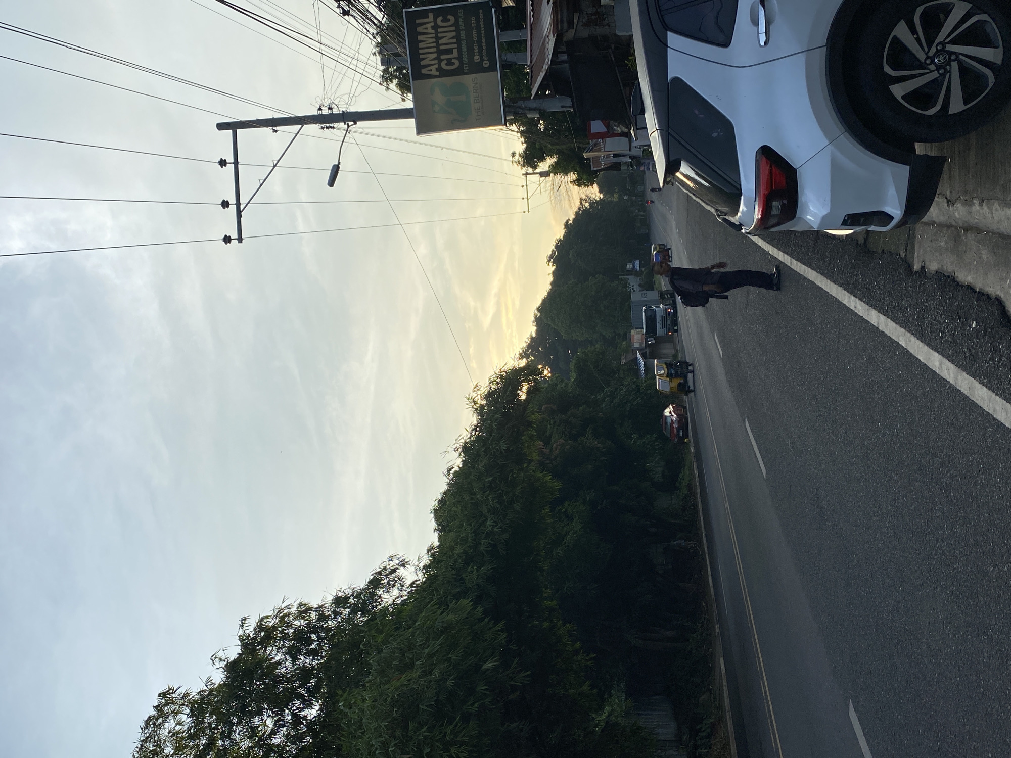 The image depicts a street scene in Davao City, Philippines, likely at dawn or dusk, given the soft lighting and the sky. On the right side of the road, a white SUV is parked near the curb, with its rear visible. The street is asphalt, marked with white lines. A man wearing a dark shirt, dark pants, and a backpack is standing on the side of the road, facing away from the camera. Further down the road, several vehicles are visible, including a yellow tricycle and a red car. On the left side of the road, a dense line of trees and foliage forms a backdrop. A utility pole with multiple wires and a sign for "ANIMAL CLINIC" is prominent on the right side of the road, indicating a commercial area. The overall impression is a somewhat busy but serene urban street.