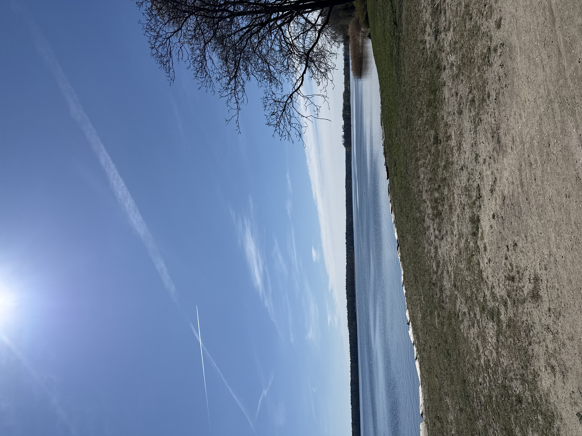 The image captures a landscape scene in Senftenberg - Zły Komorow, Germany. A body of water, likely a lake, stretches across the right side of the frame, with a tree line visible on the opposite shore. Adjacent to the water on the right is a stretch of grassy terrain transitioning into a gravelly or sandy area. A bare tree branch extends into the frame from the top left corner. The sky, predominantly blue, occupies the left portion of the image, featuring contrails from aircraft. The sun is visible low in the sky, casting a bright glare.