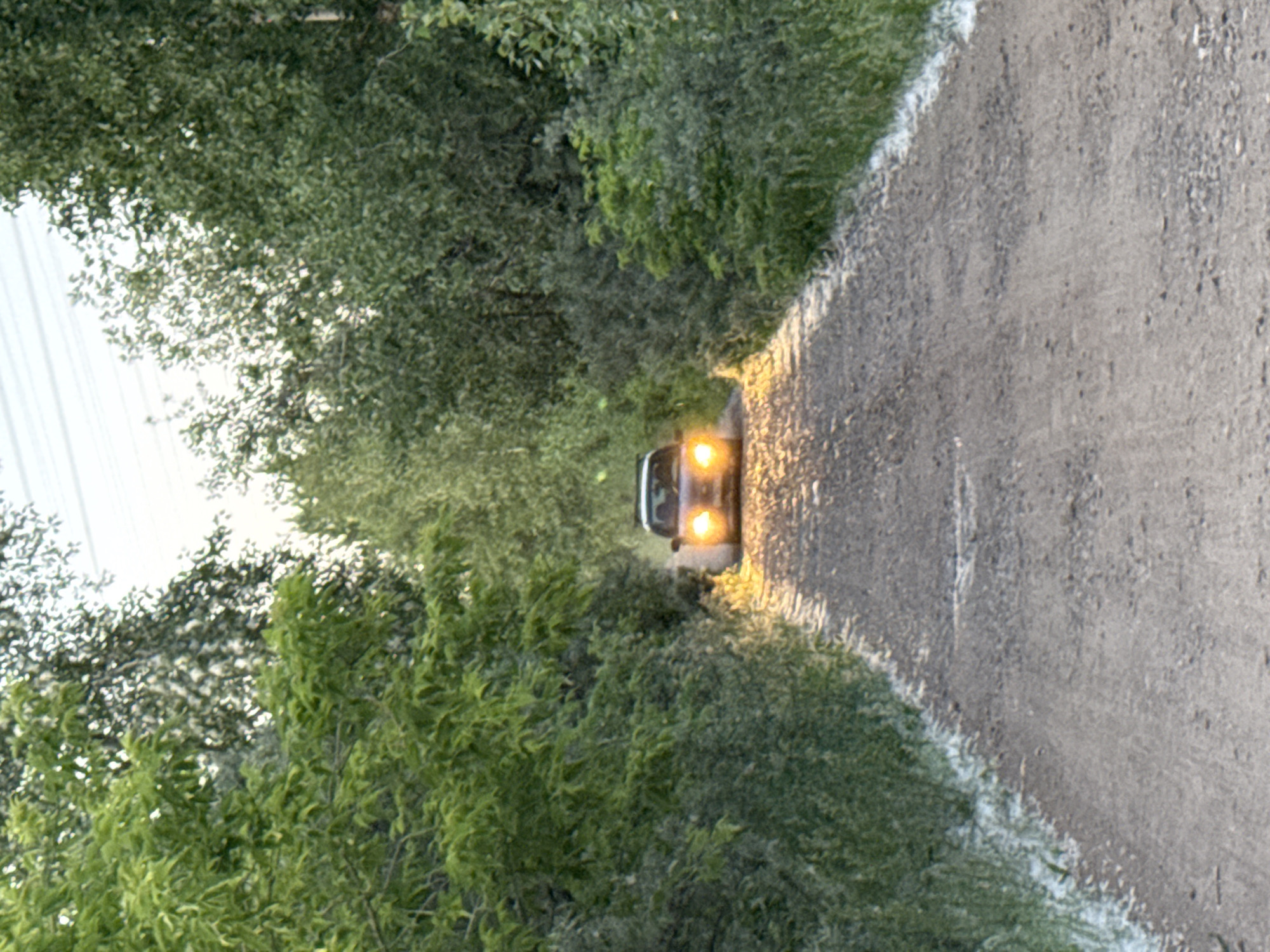 A vehicle with illuminated headlights drives down a dirt road lined with trees. The sky above is bright, suggesting either dawn or dusk. The scene is set within the city of Chaikovsky, Russia, likely in a more rural or wooded area on the outskirts. The gravel road is visible in the foreground and middle ground, with the trees forming a canopy over the road in the distance. There are no people visible in the image.