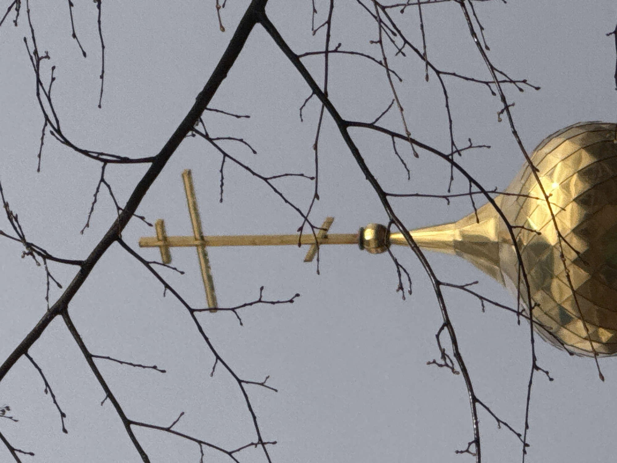 The image shows a golden dome topped with a cross, partially obscured by bare tree branches. The dome is likely part of a church or religious building. The setting is likely Chaikovsky, Russia, based on the request, though this cannot be verified from the image alone. The sky is overcast. No people are visible.