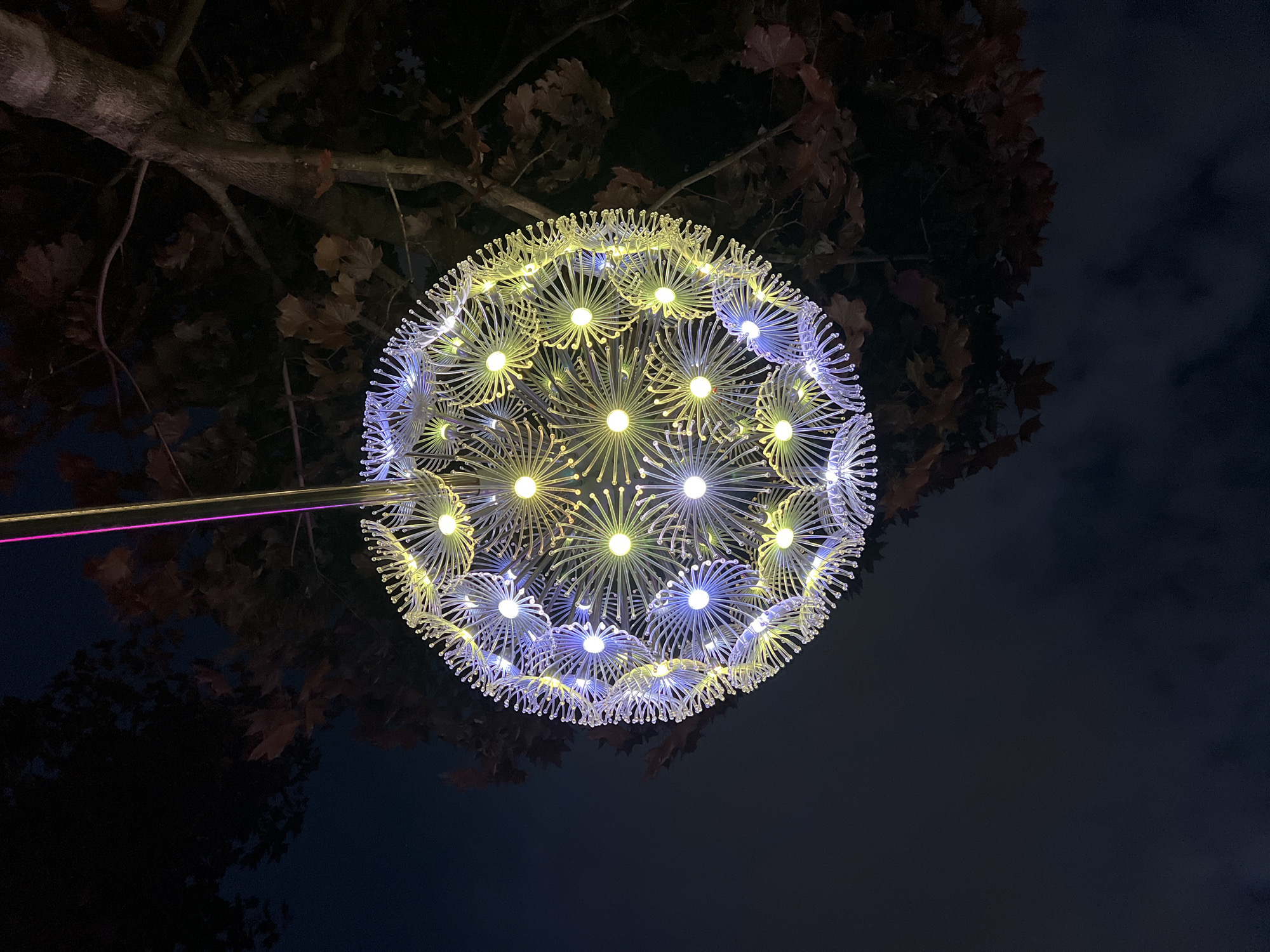 Captured at night, the photograph features a large, spherical light fixture suspended in the air, likely a decorative element within the urban landscape of Krasnodar, Russia. The sphere is composed of numerous radiating elements, each ending in a small, bulbous tip, creating a floral or starburst effect. Some of the elements are illuminated in a warm yellow hue, while others emit a cooler blue light, lending a gradient effect to the overall structure. The light sphere is mounted on a horizontal beam, illuminated with a pink hue, extending from the left side of the frame. Dark tree branches with leaves surround the light fixture, and the background sky is a deep, dark blue, possibly indicative of twilight or night. The setting appears to be an urban or park environment, given the presence of the decorative lighting and nearby trees.