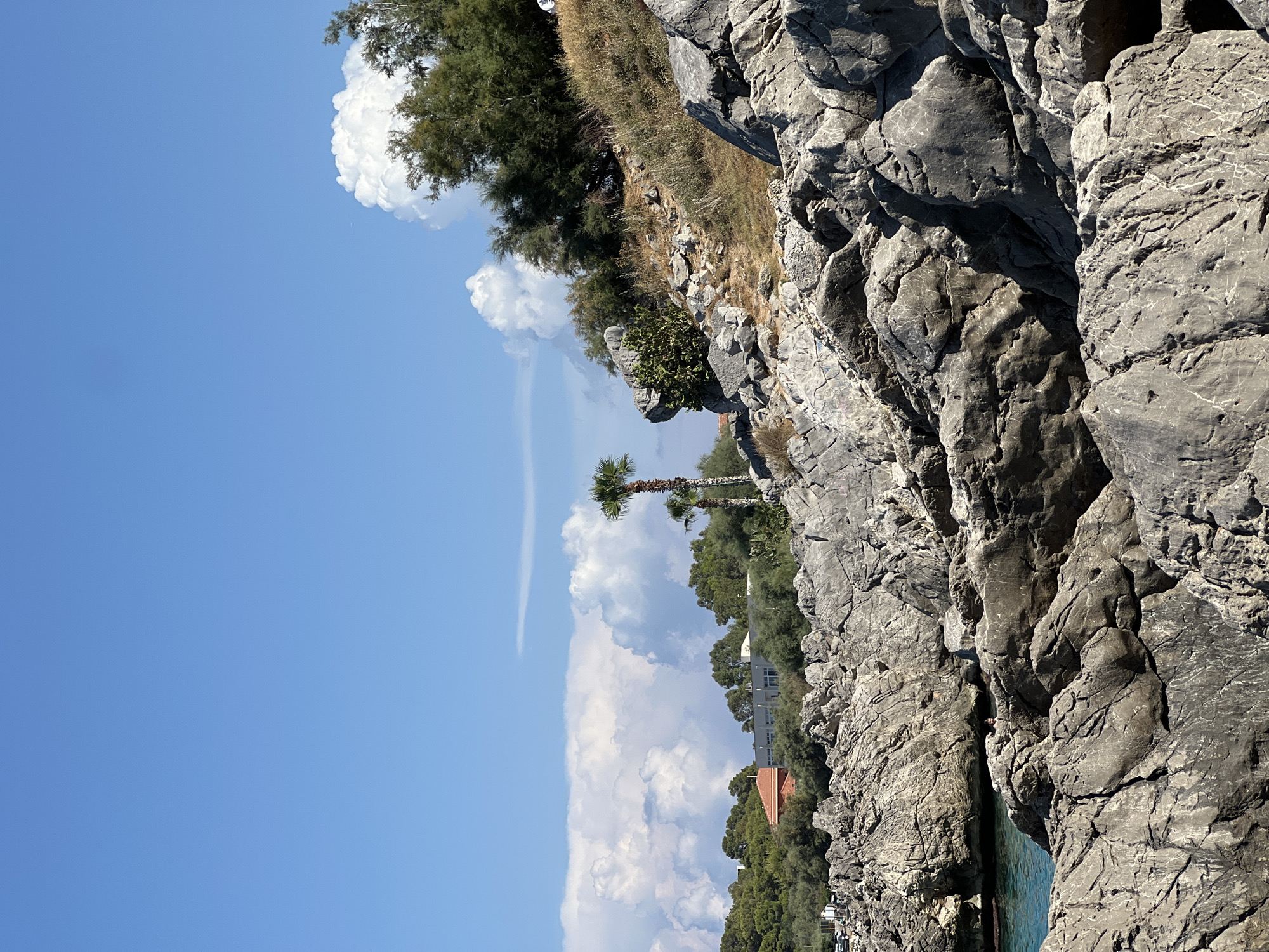 The image depicts a rocky coastline under a bright blue sky with scattered white clouds. The foreground is dominated by large, textured gray rocks. In the background, lush green trees and vegetation are visible on a slope, with a few buildings peeking through the foliage, including a house with a terracotta roof. Two palm trees stand tall amongst the greenery. The sea is visible in the lower left corner, appearing as a tranquil turquoise. The scene is characteristic of a coastal area in Palermo, Italy, likely a natural reserve or a less developed part of the coastline, possibly the Riserva Naturale Orientata di Capo Gallo or a similar location with rocky shores and Mediterranean vegetation.