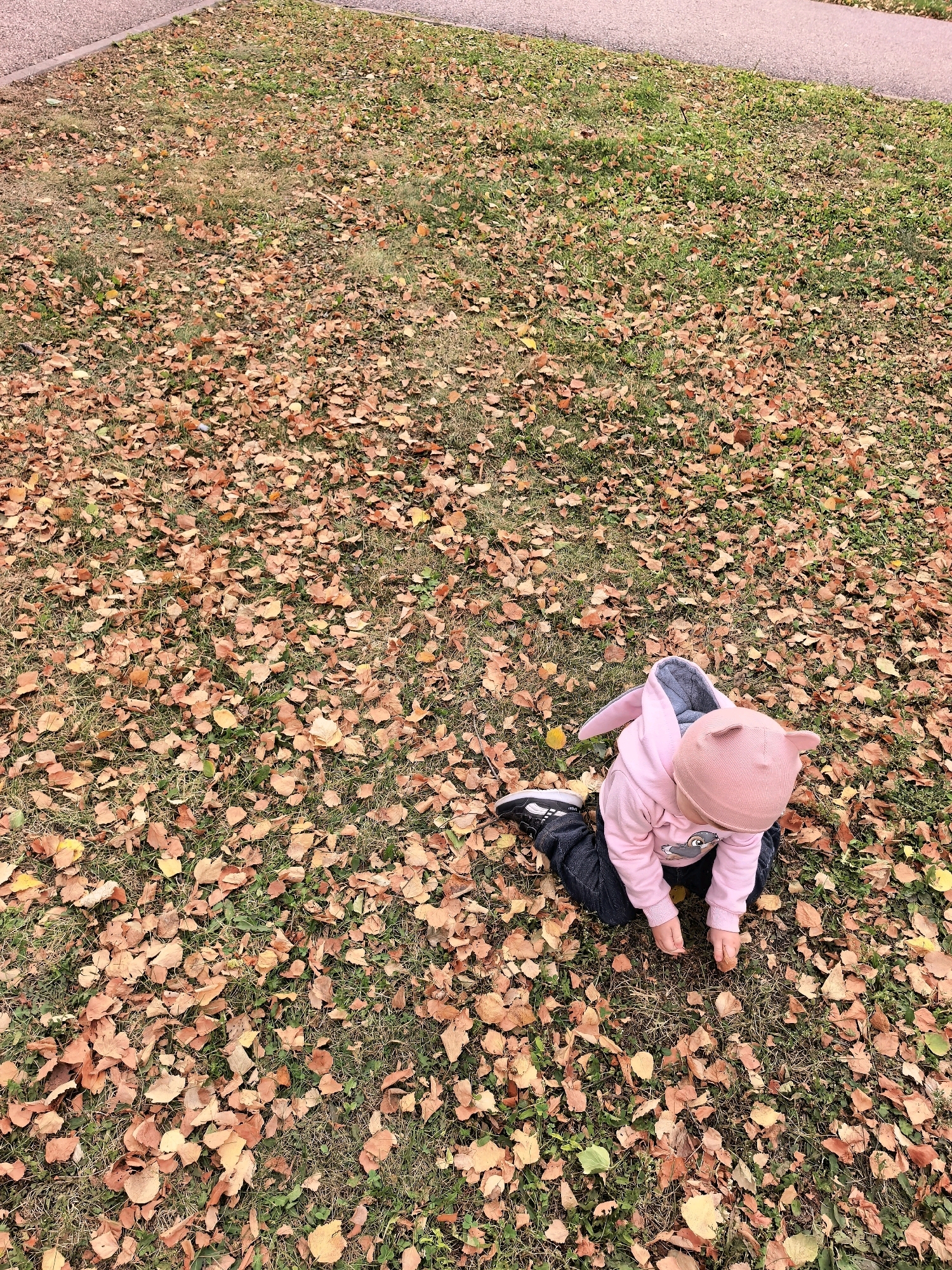 An overhead shot shows a toddler in a pink hooded sweatshirt and pink hat with cat ears, sitting on a grass-covered area scattered with fallen orange and brown leaves. The toddler's hands are near the ground, appearing to interact with the leaves. The toddler is wearing dark pants and black sneakers. In the upper left corner, a small portion of a paved path is visible. The scene appears to be in a park or yard, consistent with an outdoor environment in Sterlitamak, Russia during autumn.