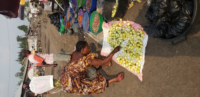 This image depicts an outdoor market scene on a dirt road in Buzove, Democratic Republic of the Congo. In the immediate foreground, a woman in a brown and orange patterned dress, wearing red sandals and a grey shoulder bag, is bent over a large quantity of light green, spherical fruits or vegetables, likely garden eggs or unripe tomatoes, which are spread on a white sack with red geometric patterns on the ground. Her right hand is immersed in the produce. To her immediate right, a black plastic tub contains multiple tied black plastic bags. Further back and to the left, a man in a striped orange and white shirt and light-colored pants stands with his back partially to the viewer, holding a dark object in his left hand. To the mid-right, a market stall is visible, displaying various dried legumes or nuts in a series of colorful plastic basins, including blue, green, and purple. The background features a wide, unpaved dirt road extending into the distance, with several individuals, including a child on a bicycle, and rudimentary single-story structures constructed from concrete blocks or corrugated metal. Tall, slender trees are visible beyond these structures under a diffused, light-grey sky.