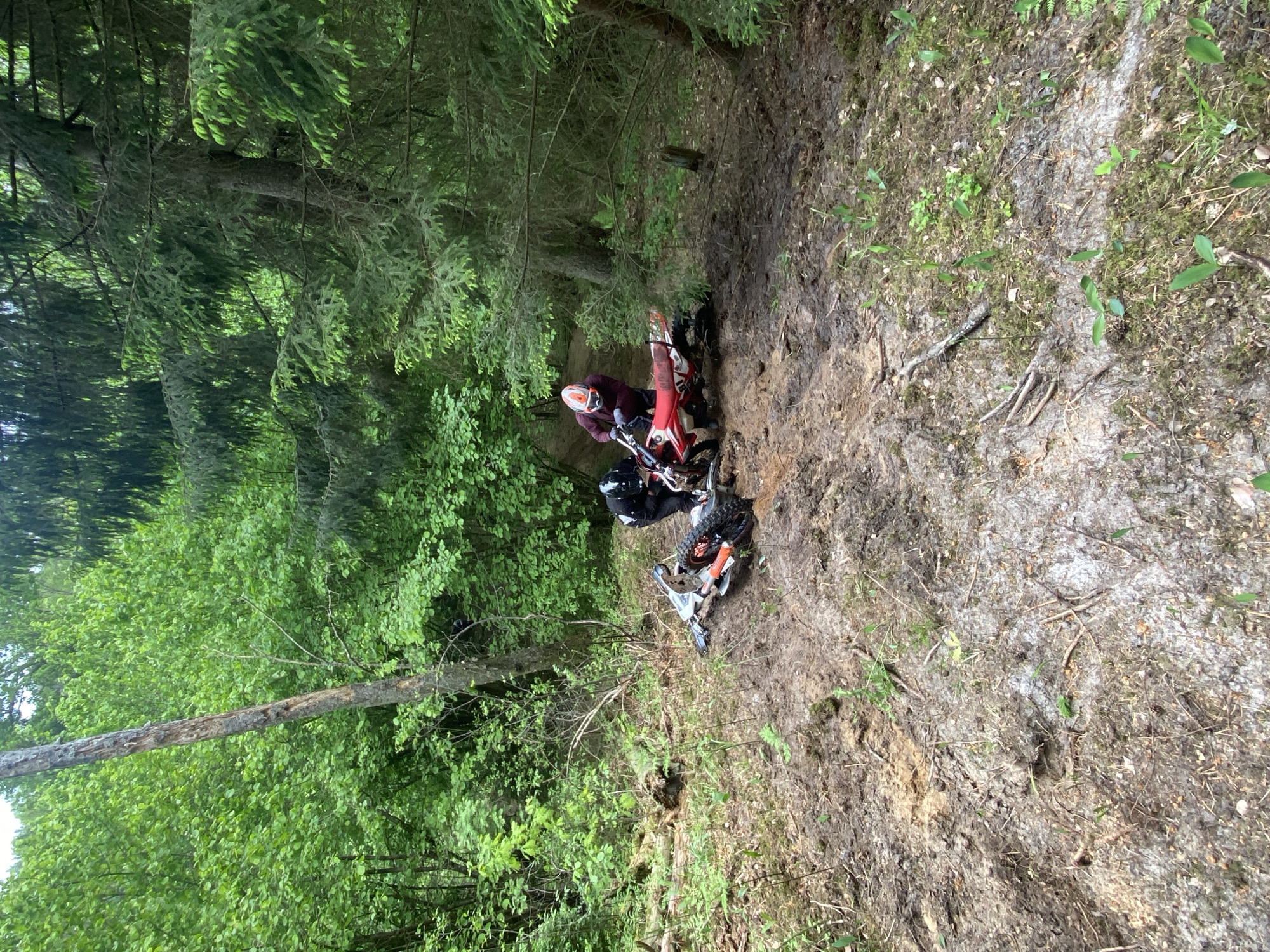 The scene depicts a wooded area in Парэцкі сельскі Савет, Belarus. Two dirt bikes and riders are situated on a steep, muddy incline within the forest. One motorcycle is red, while the other appears to be white. Both riders are wearing protective gear. The surrounding environment is characterized by lush green foliage, tall trees, and the uneven terrain of the forest floor. The conditions appear to be challenging for the dirt bikes, possibly due to the steepness of the slope and muddy ground.