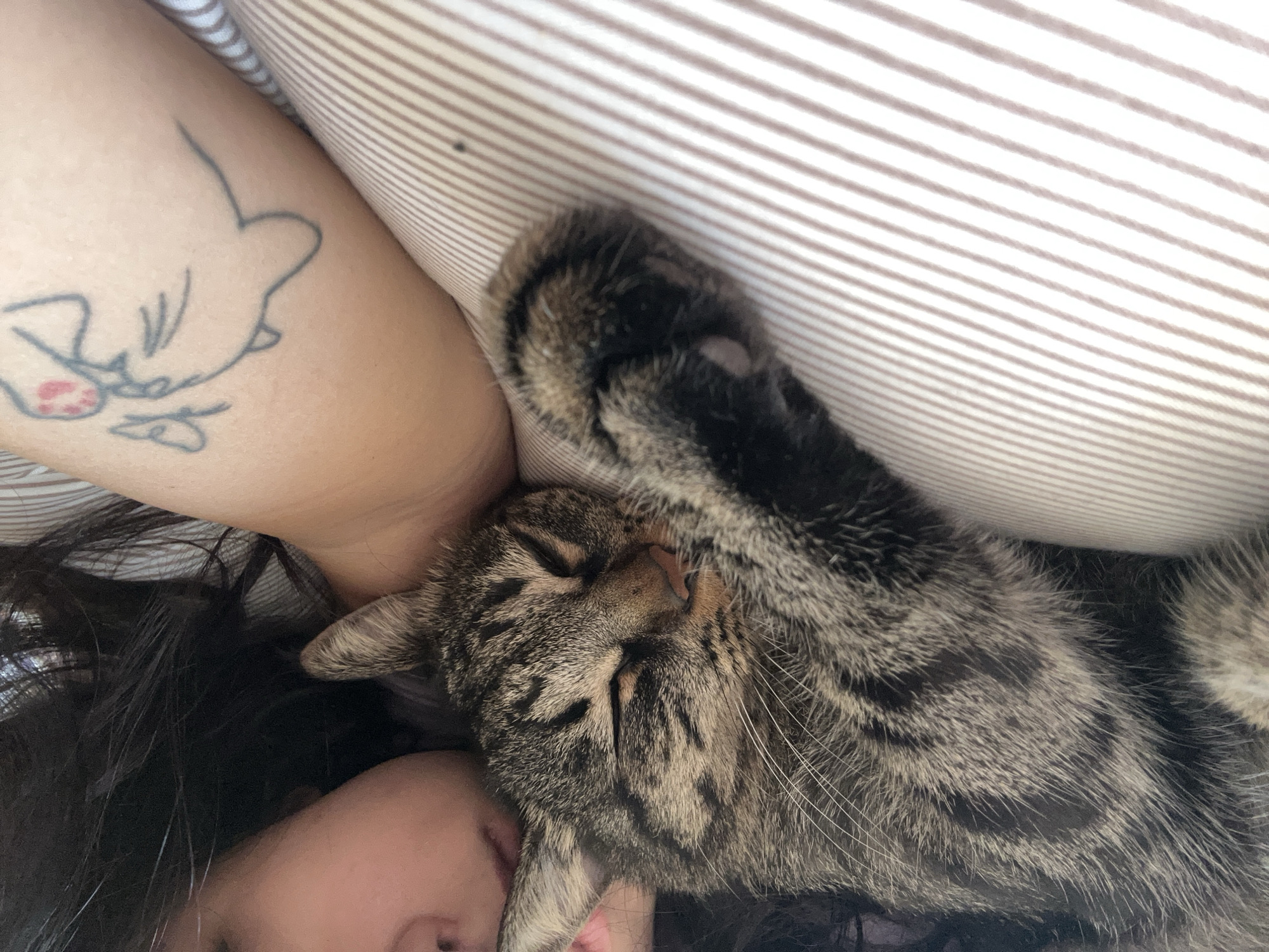 A close-up, eye-level shot shows a tabby cat sleeping peacefully on a person's arm, which is adorned with a simple line drawing tattoo of a cat with a butterfly. The cat's head is nestled against the person's face, partially obscuring their features. The person's dark hair is visible, and their lips are slightly parted, suggesting they are also asleep or resting. Both the cat and the person are lying on a striped surface, likely a bed or sofa, with the stripes running diagonally across the frame. The lighting is soft, creating a warm and intimate atmosphere. The image appears to be taken indoors, in a private setting, such as a bedroom. There is no identifiable information that would allow for pinpointing the location in Khyrdalan, Azerbaijan, or any other specific city.