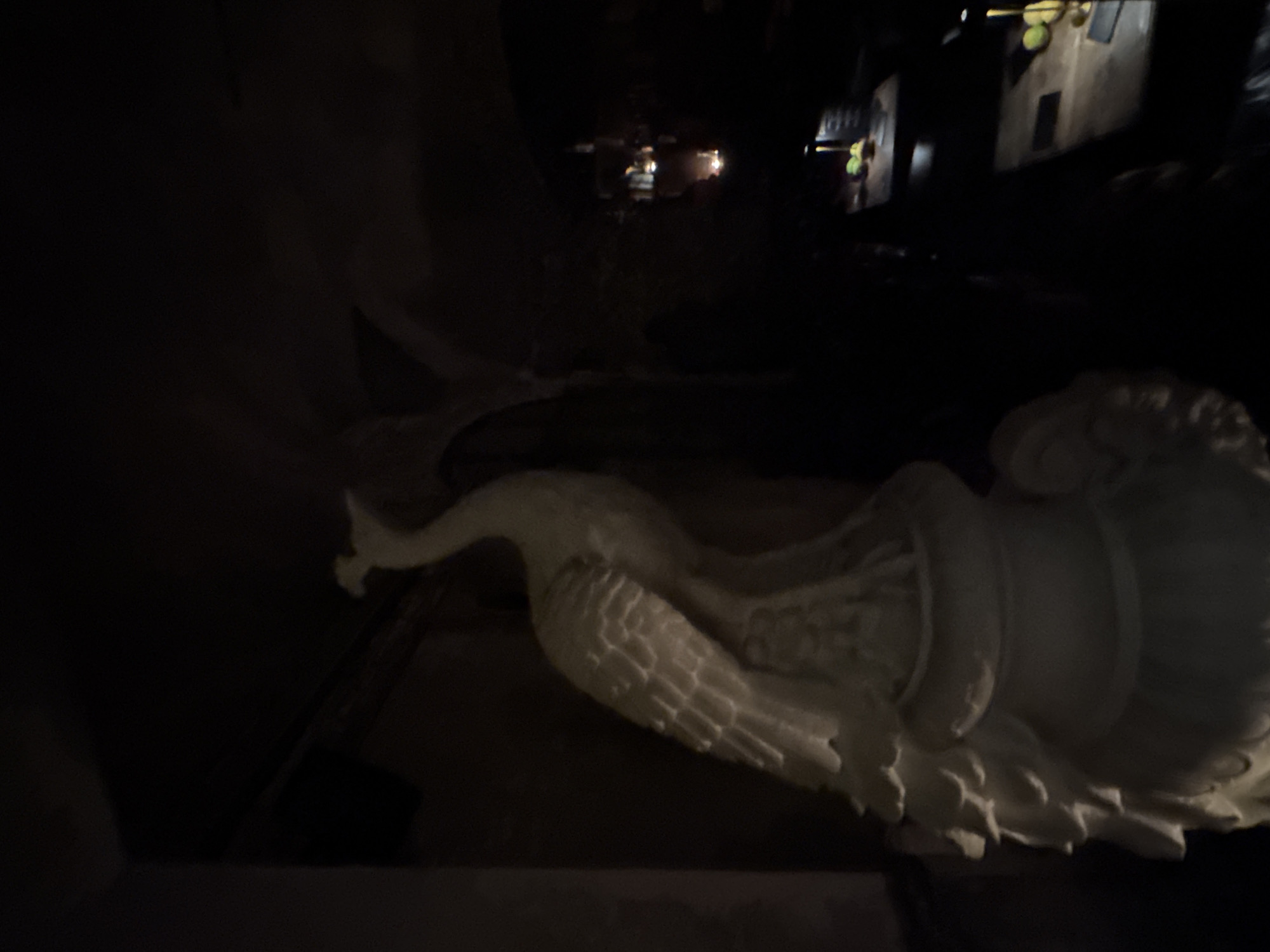 A dimly lit scene shows a white swan statue in the foreground. In the background, there is a faint view of buildings, possibly in Rome, Italy. The swan is positioned in a way that suggests it might be a garden ornament or part of an outdoor display. The lighting conditions make it difficult to discern further details about the environment.