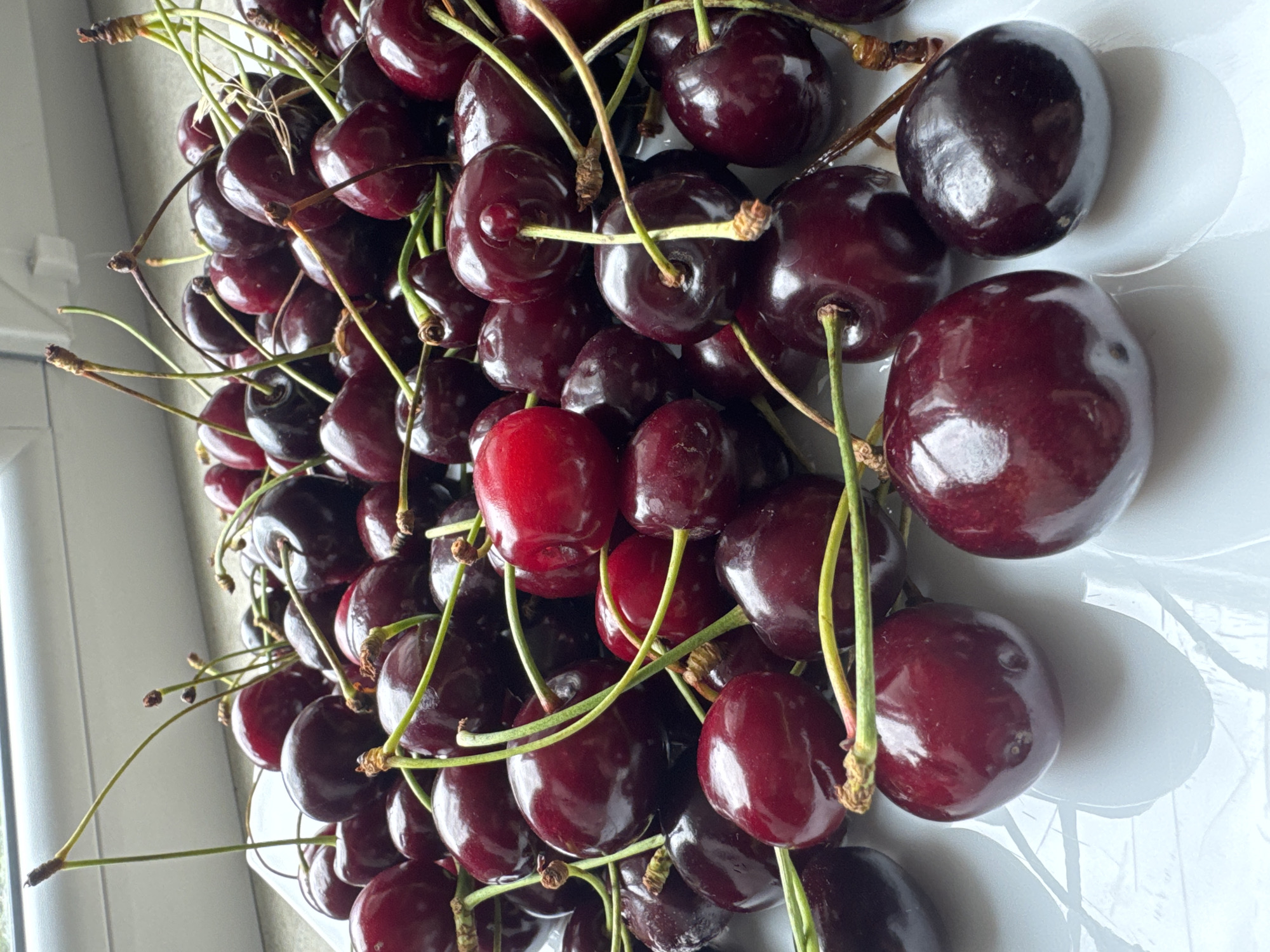 A close-up, overhead shot displays a pile of dark red cherries, some with lighter red hues and green stems. The cherries are on a white surface, possibly a plate, with a textured pattern visible underneath. The lighting suggests an indoor setting near a window, as indicated by the blurred background with a light source and the windowsill. No people or animals are present, and the focus is solely on the fruit.