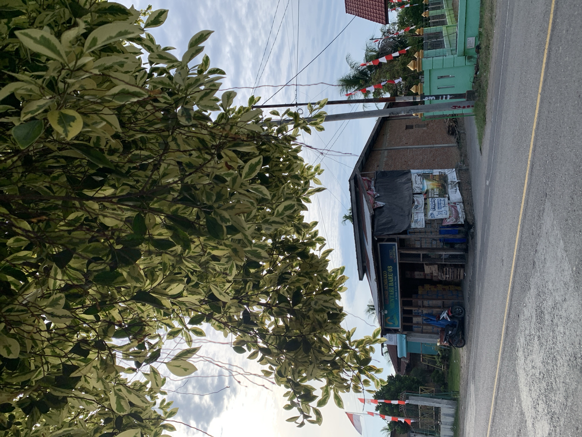 The image captures a scene in Meunasahlhok, Indonesia, on a cloudy day. In the foreground, a paved road with a yellow line runs across the bottom. Overhanging branches with variegated green and white leaves fill the top portion of the frame, partially obscuring the sky and the scene below.
To the right of the road, a brick building with an open storefront is visible. The storefront is filled with stacked boxes, some appearing to be goods for sale. A tarp is stretched over a portion of the front of the building. A red and white motorcycle is parked in front of the storefront. A sign above the storefront reads "GLOSIR SEMBAKO MENTARI BARU 03" and displays a phone number. Another smaller sign says "SEKOLAH."
To the left of the building, a gate with vertical white bars and horizontal green bars stands, with an Indonesian flag on a pole behind it. Further to the left, there are more trees and what appears to be another building.
In the mid-ground, along the right side of the scene, a bright green fence with gold decorative tops encloses an area. Red and white pennant flags are strung along the top of the fence and on poles in front of it, suggesting a festive occasion. Several power lines crisscross the sky.
The overall environment appears to be a street in a residential or commercial area, with a mix of buildings and vegetation. The presence of the Indonesian flags and pennants might indicate a national holiday or celebration.