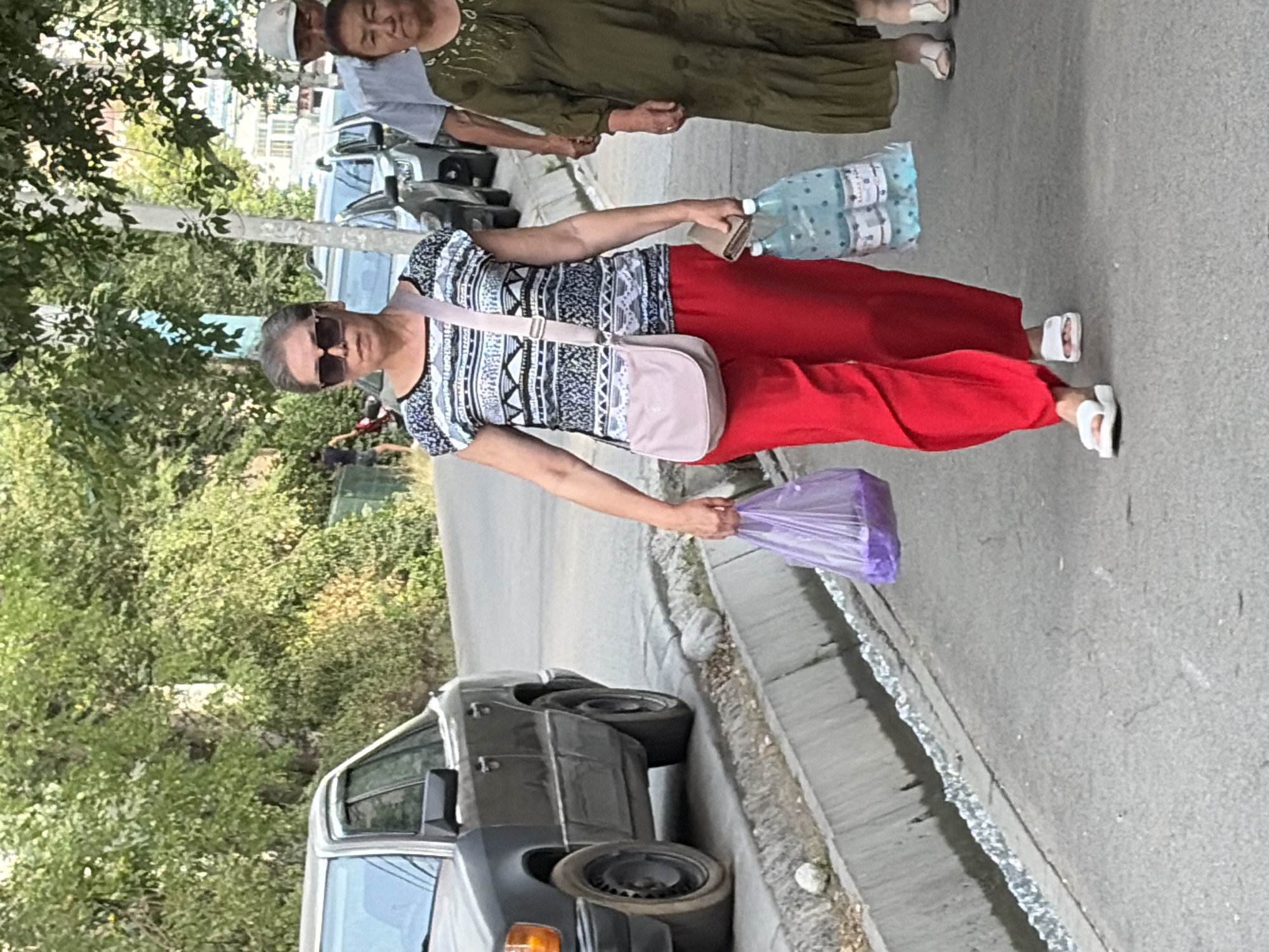 A medium shot captures three people walking along a paved street next to a shallow drainage ditch. A dark-colored sedan is parked on the left side of the image, with its front end slightly visible. The main subject, a woman with short gray hair and sunglasses, is in the center of the frame, wearing a patterned short-sleeved shirt and bright red pants. She carries a light pink shoulder bag and holds a purple plastic bag in her left hand and a plastic bag with two bottles of water in her right. To her right, a woman in a dark green dress walks closely behind, with a man in a light blue shirt and a white cap behind her. The environment appears to be a street lined with trees and some buildings in the distance.