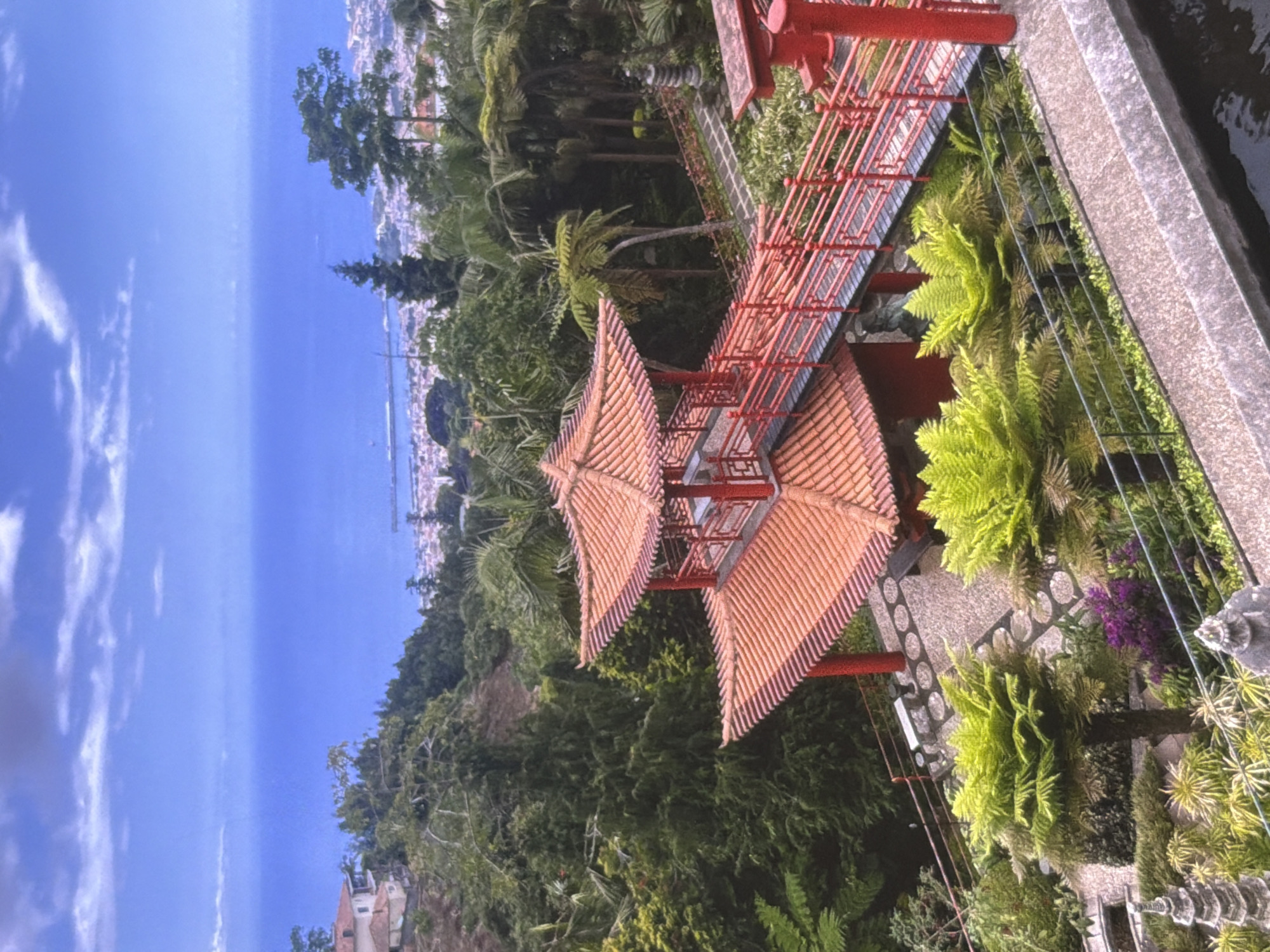 The image shows a view from a high vantage point looking down at a lush, green hillside that slopes towards a body of water. The water appears to be the ocean, with a distant coastline visible on the horizon. In the foreground, there is a red structure with multiple levels and a pagoda-style roof tiled with orange shingles. This structure is connected by a red bridge or walkway. Surrounding the structure is dense vegetation, including various types of ferns and trees. The scene is bathed in bright sunlight, suggesting it is daytime. The sky is blue with scattered white clouds. The overall impression is one of a serene and picturesque natural landscape combined with some sort of architectural feature, possibly a temple or garden. There are no visible people in the image, nor is there any text.