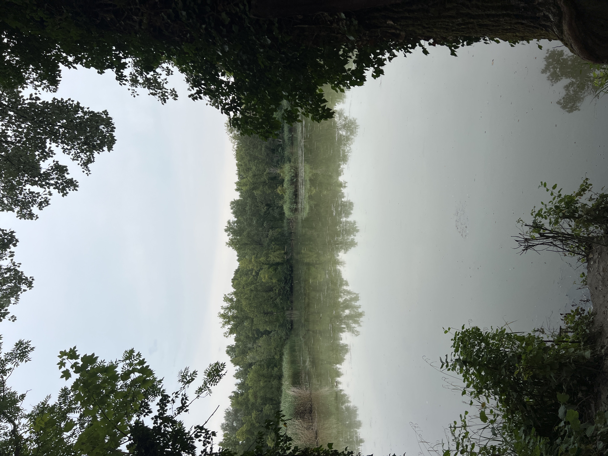 The image depicts a tranquil natural scene overlooking a calm body of water, likely a lake or pond, bordered by dense green foliage and trees. The water's surface is murky and reflects the overcast sky and the surrounding vegetation. In the background, a thick line of trees forms a lush green barrier. The foreground shows the edge of the water with some reeds and other plants growing. The scene is framed by the branches and leaves of trees in the foreground, suggesting a natural setting, possibly within a park or a rural area. There are no people or animals visible in the image. The sky is a uniform grey, indicating an overcast or cloudy day. The overall impression is one of peaceful seclusion within a verdant environment. Based on the provided context, this scene is located in Étrembières, France.