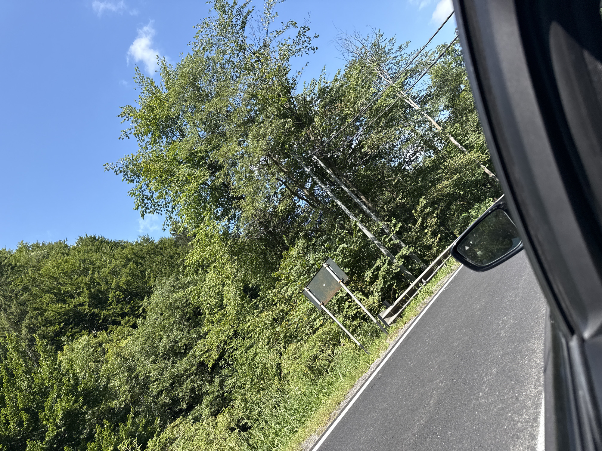 An eye-level, slightly tilted perspective shot captures a roadside scene in Poiana Sărată, Romania, under a bright blue sky with a few wispy clouds. The foreground is dominated by the interior of a vehicle, with the dark frame of the car door and a side-view mirror visible. The mirror reflects the lush green trees that line the road.
The road itself is asphalt, marked with a white line, and it curves gently to the left. To the right of the road, a dense forest of green trees rises steeply, creating a wall of foliage. A few utility poles with wires crisscross through the trees, and a weathered, square signpost on metal legs stands near the roadside, its surface partially obscured by leaves. The overall impression is one of a scenic drive through a heavily wooded area.
