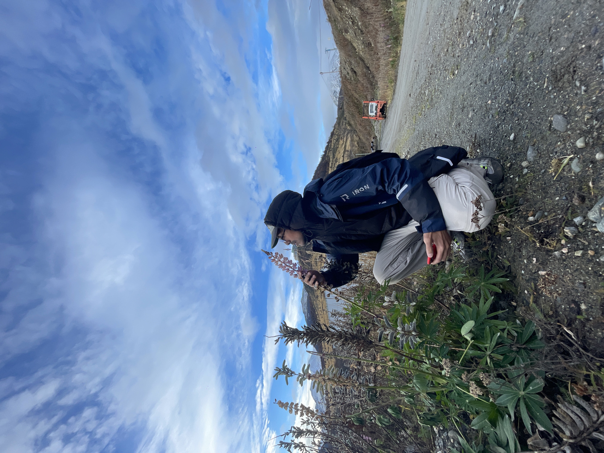 A person wearing a dark jacket, light-colored pants, a hat, and glasses is kneeling beside a gravel path near what appears to be a lake or fjord in Ushuaia, Argentina. The person is holding a pink flower. In the background, a red construction vehicle is parked on the gravel path. The sky is blue with scattered clouds. Plants are growing along the edge of the path. The scene is set on a cloudy day, which suggests a colder climate.