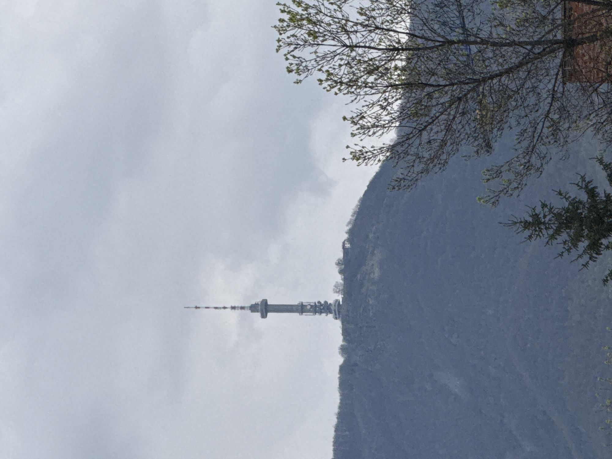The image shows the Sofia TV Tower, situated on Mount Vitosha near Sofia, Bulgaria. The tower extends horizontally across the center of the image, seemingly emerging from the side of the mountain. Overcast sky is visible on the left of the image. The mountain slope is covered in vegetation. Tree branches are in the top right corner of the image.