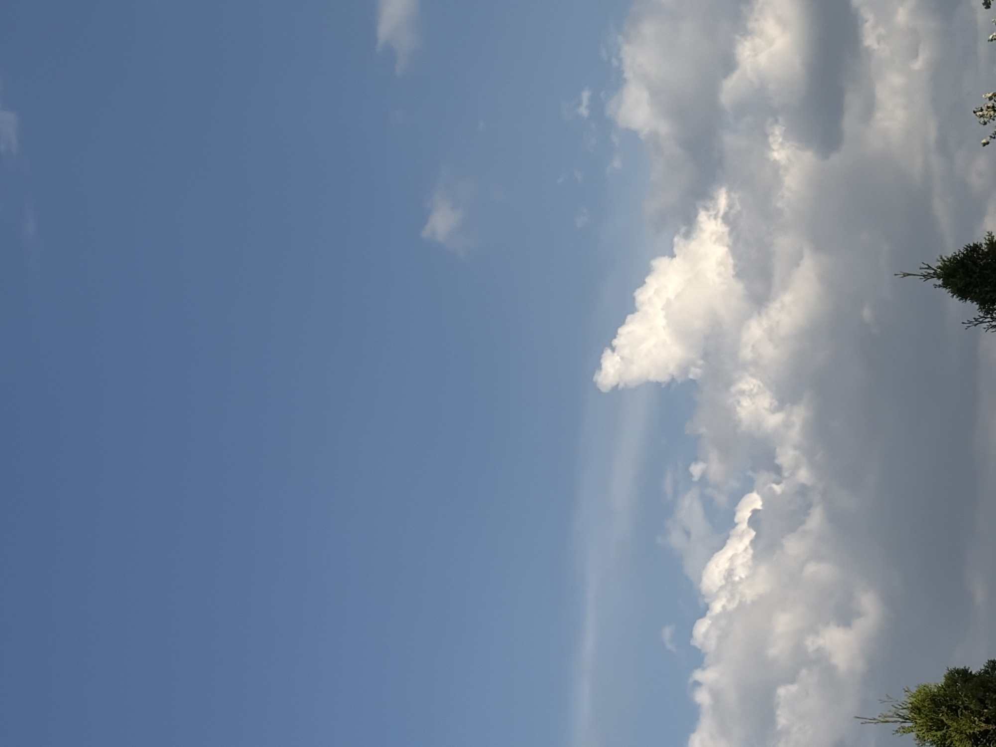 The image captures a sky filled with cumulus clouds, with hints of a distant landscape at the bottom, possibly in Oxentea, Moldova. The sky is a vibrant blue, dotted with fluffy white clouds that create a sense of depth and texture. The clouds vary in size and density, with some appearing bright and sunlit, while others are darker and more shadowed, suggesting varying altitudes and conditions. The lower portion of the image reveals the tops of a few evergreen trees and what appears to be a glimpse of a building or structure. The lighting indicates it is likely daytime, possibly late afternoon or early evening, given the soft quality of the light on the clouds. The overall scene is serene and natural, with no visible human presence or activity.