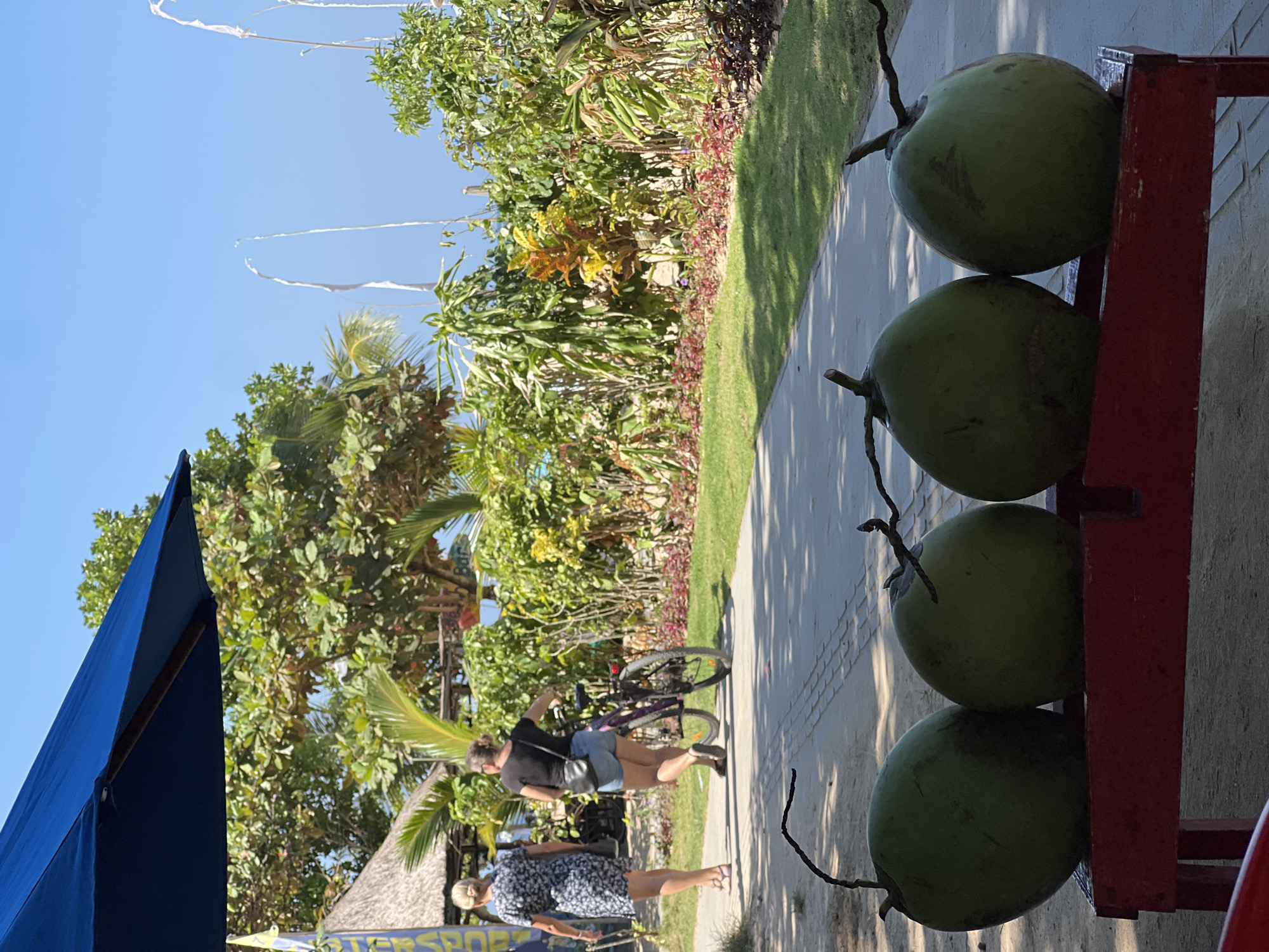 In Denpasar, Indonesia, on a sunny day, four green coconuts are displayed on a red wooden stand in the foreground. The coconuts have brown stems that curve upwards. Behind the coconuts, a paved walkway runs horizontally across the frame, bordered by a strip of green grass and lush green foliage. Two women are walking on the walkway; one in a dark floral dress and flip-flops, and the other in a black t-shirt, denim shorts, and sandals, pushing a bicycle. In the background, a thatched-roof hut is visible among trees, and the blue sky is clear. White prayer flags or streamers are also visible in the distance. A large blue umbrella is partially visible in the top left corner of the frame.