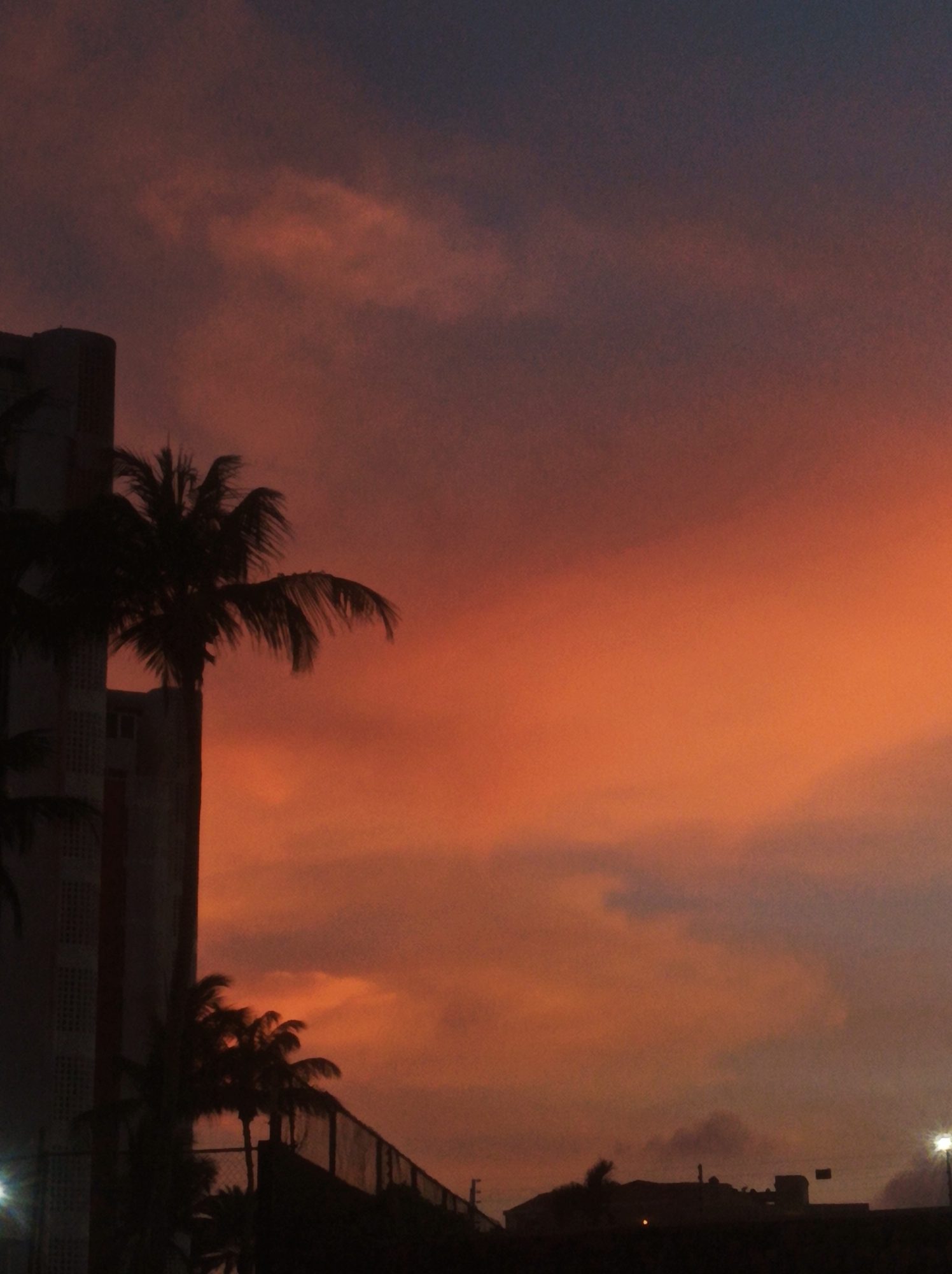 The image shows a sunset in Porlamar, Venezuela. In the foreground, there is a tall building with palm trees in silhouette. A fence is visible in front of the building. In the background, there are silhouettes of buildings and structures. The sky is filled with orange and pink clouds. The light sources appear to be artificial, as the sunset colors are dimming.