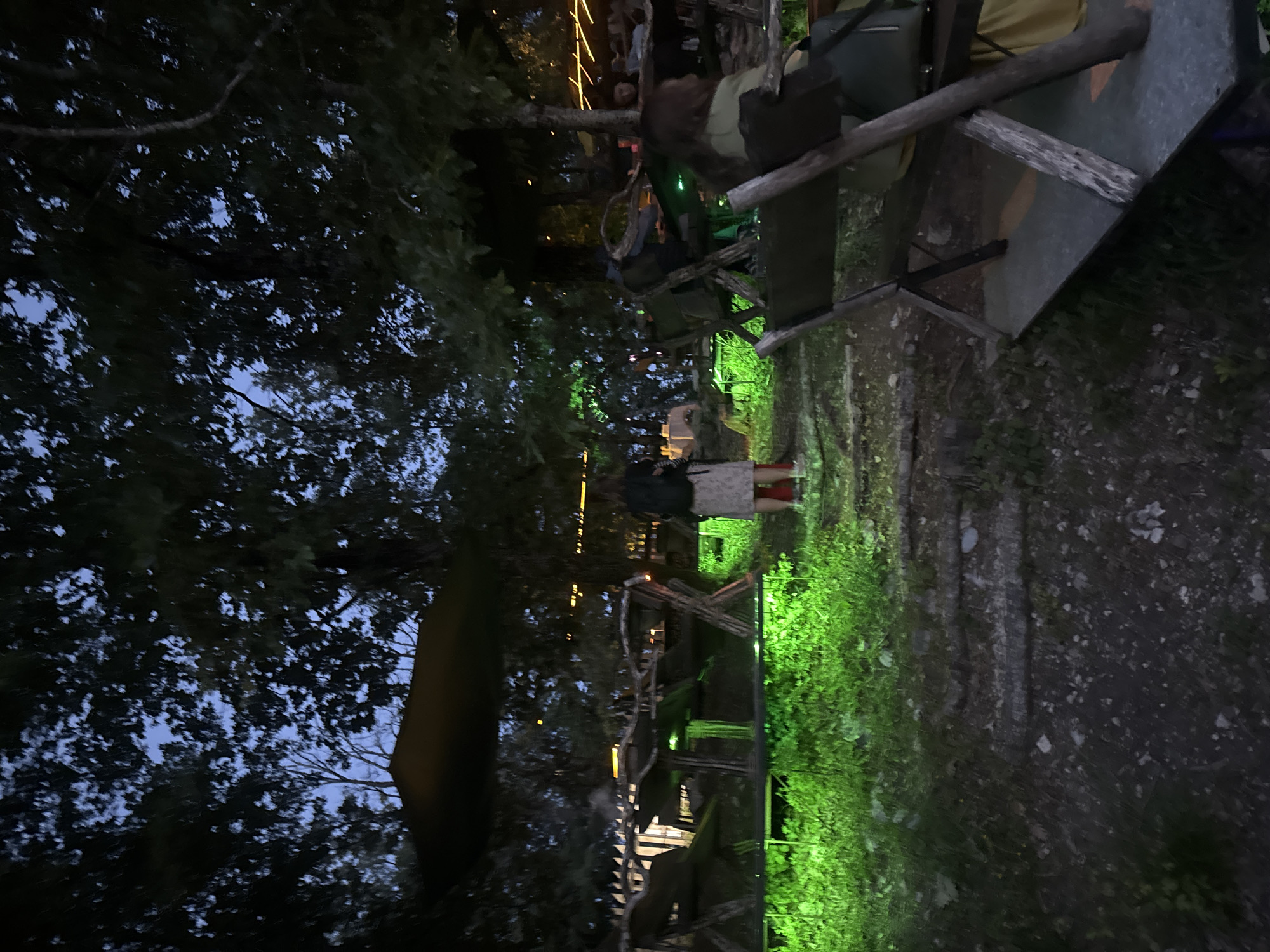 The image depicts an outdoor scene in what appears to be Bukovik, Montenegro, at night. The lighting is dim, with green illumination accentuating the vegetation and ground cover. In the background, strands of string lights indicate a social gathering or event. A woman wearing a dark top and a light-colored skirt or dress is standing in the middle ground. Seating is set up, including wooden benches and chairs. Trees surround the area and obstruct the sky. The ground appears to be a combination of grass, dirt, and stone. A wooden structure with a metal surface is also visible.