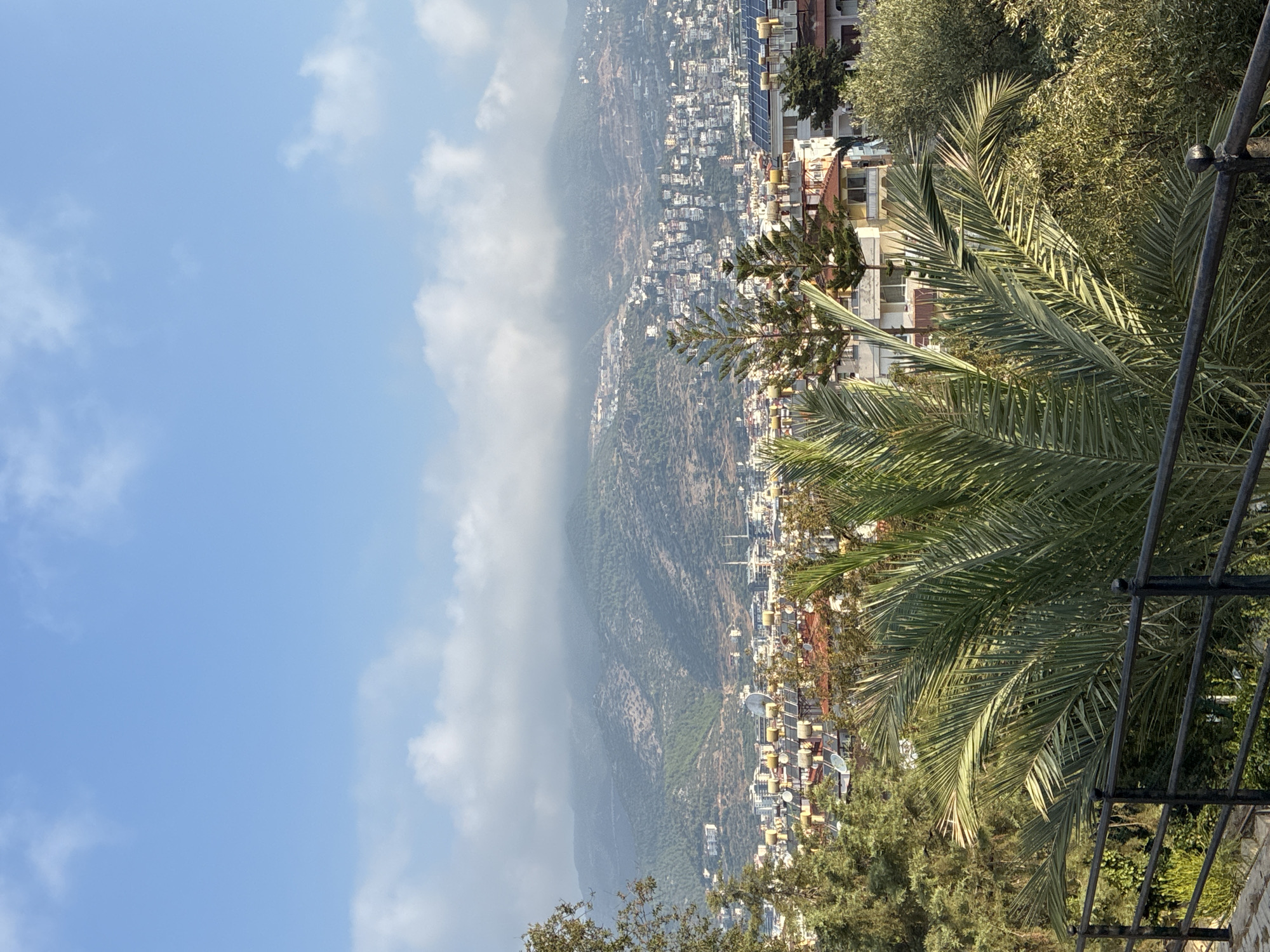 A wide shot captures a view of Alanya, Turkey, from a slightly elevated perspective. In the foreground, a black metal railing runs horizontally across the bottom of the frame, separating the viewer from a lush garden with a prominent palm tree on the right. Beyond the garden, a dense cluster of buildings, predominantly white with red-tiled roofs, spreads across the mid-ground. Many of these buildings have solar water heaters visible on their roofs.
Behind the city, a series of verdant, tree-covered hills rise, their slopes dotted with more buildings. The hills are partially shrouded in a light mist or clouds, especially towards the summit, which adds a soft, atmospheric quality to the scene. The sky above is a clear, pale blue, with scattered white clouds. The overall impression is one of a coastal city nestled against a natural landscape under a bright, albeit slightly hazy, sky.