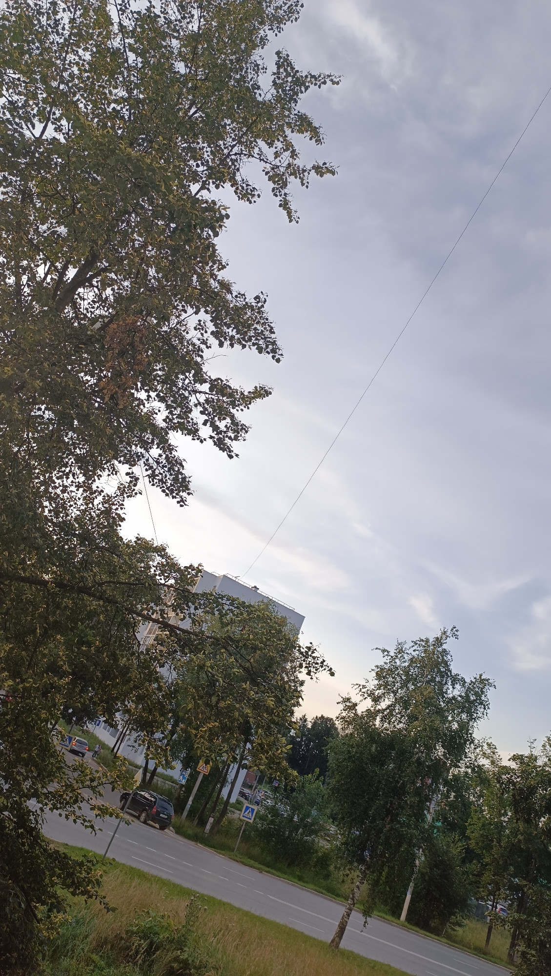 The image depicts a view looking upwards towards a cloudy sky from a street level perspective in Chaikovsky, Russia. In the foreground, a large tree with dense green foliage dominates the left side of the frame, extending towards the top left corner. A thin, dark utility wire stretches diagonally across the sky from the middle left towards the upper right. Below the tree, a multi-story building with a light-colored facade is visible, partially obscured by the tree's branches. A paved road runs diagonally from the bottom left to the middle right of the image, with cars parked and driving on it. Several street signs, including pedestrian crossing signs, are visible along the roadside. Green grass and vegetation line the side of the road, with more trees and foliage further in the background. The lighting suggests it is late afternoon or early evening.