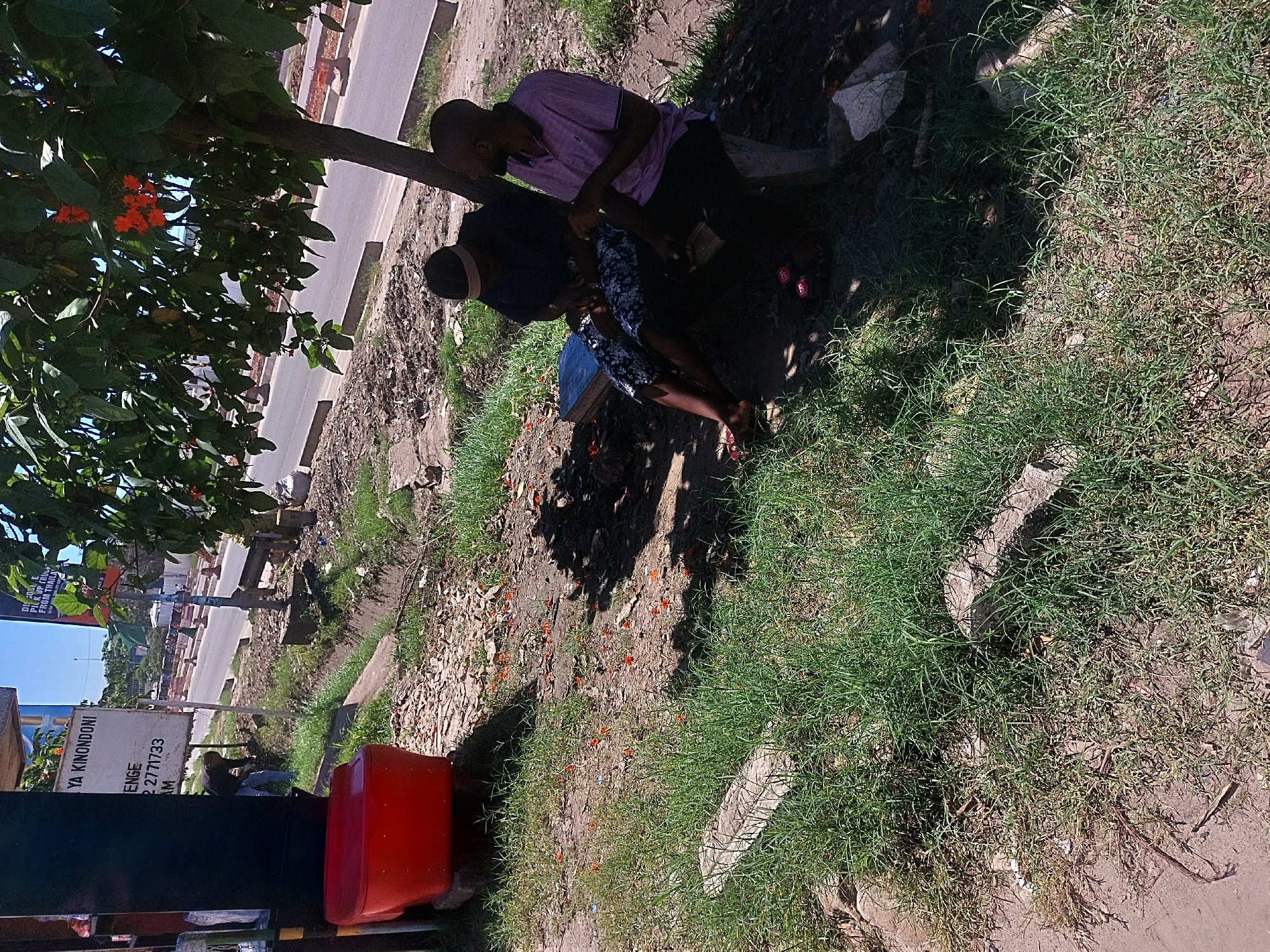 The image shows two people sitting on a bench under a tree. One person is wearing a pink striped shirt, and the other is wearing a darker shirt with a patterned dress. The scene appears to be a street in Dar es-Salaam, Tanzania, evident from the sign and streetscape. The ground surrounding the bench is covered with grass and fallen orange flowers. A red object and signs are visible in the lower left corner, along with a road and other signs in the background.