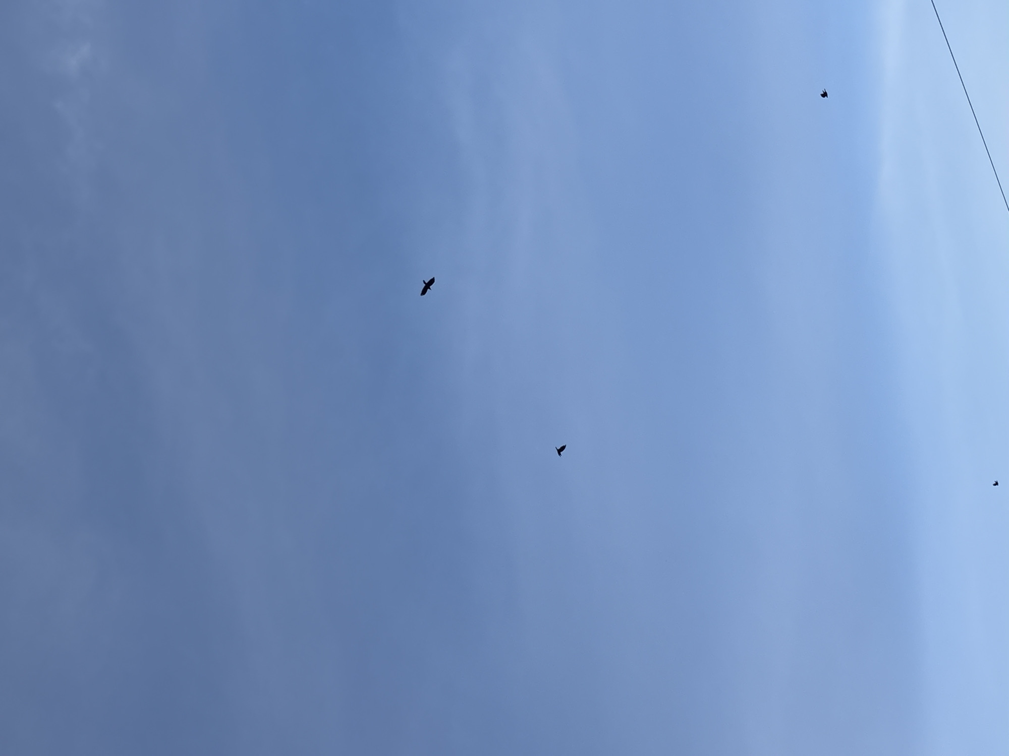 The image shows a clear blue sky with some wispy clouds. There are three birds flying in the sky, appearing as dark silhouettes against the bright background. One bird is in the upper center, another is to the left and slightly below it, and the third is in the lower right corner, very small and distant. A thin, dark line, possibly a wire or string, is visible in the lower right corner of the image. The overall scene suggests an outdoor environment on a bright day. The image was taken in Vorsma, Russia.