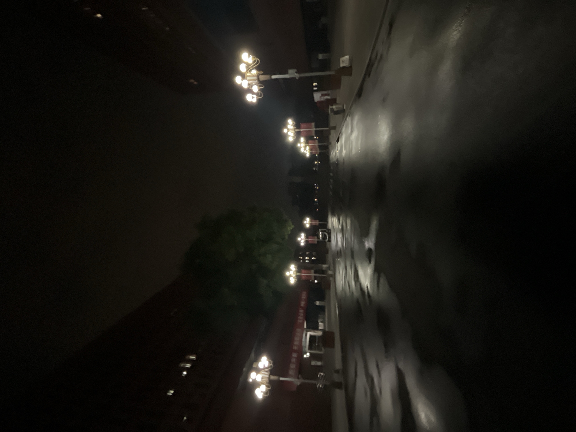 The image captures an empty street scene at night in Yuzhong District, China, under wet conditions, likely after rain, as evidenced by reflective puddles on the asphalt road. The street extends into the background, illuminated by multiple ornate streetlights featuring clusters of glowing bulbs, arranged in a symmetrical pattern along both sides of the thoroughfare. Dark, multi-story buildings with a reddish-brown hue and a few visible lit windows flank the street, appearing on both the left and right. A prominent tree with dark foliage is situated on the left side, behind a line of streetlights. Red banners with white Chinese characters are visible on the left, affixed to a structure under an awning and to streetlight poles. A small, dark vehicle or utility cart is discernible further down the street on the left. No individuals are present.