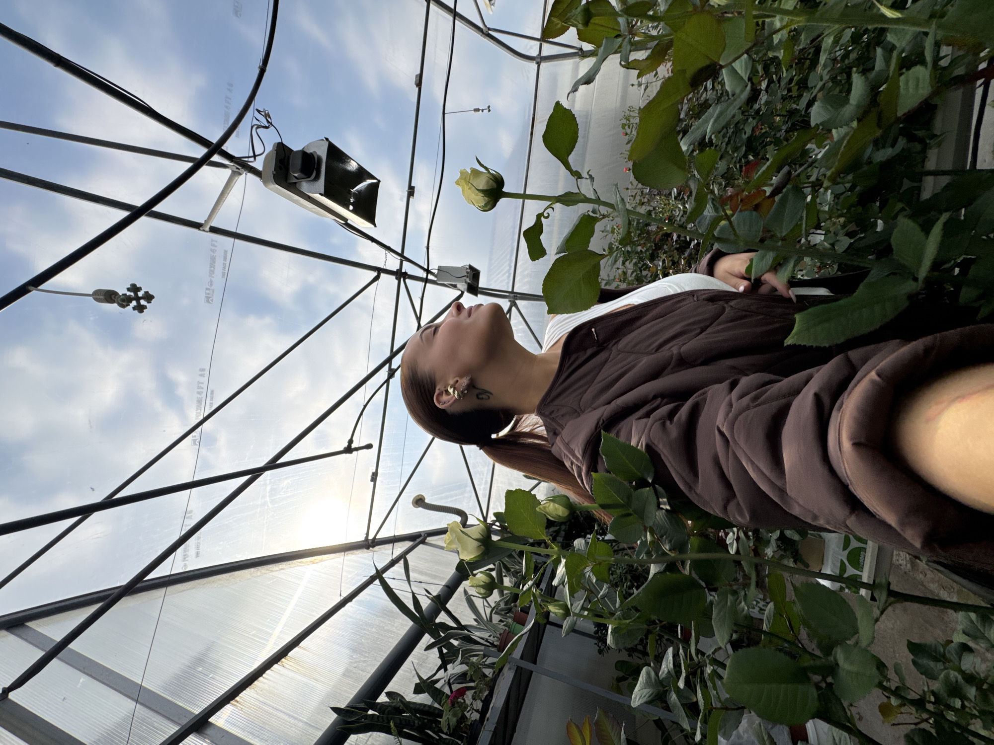 A young woman with dark hair in a ponytail, wearing a brown quilted jacket over a white top, stands in a greenhouse. She is looking upwards, with her eyes closed, as if smelling a pale yellow rose. Several rose plants with buds and open blooms are visible, along with other greenery on shelves in the background. The greenhouse structure, with its metal frame and translucent roof, is apparent, as are overhead lights and a misting system. The scene is set within a greenhouse in Chaikovsky, Russia.