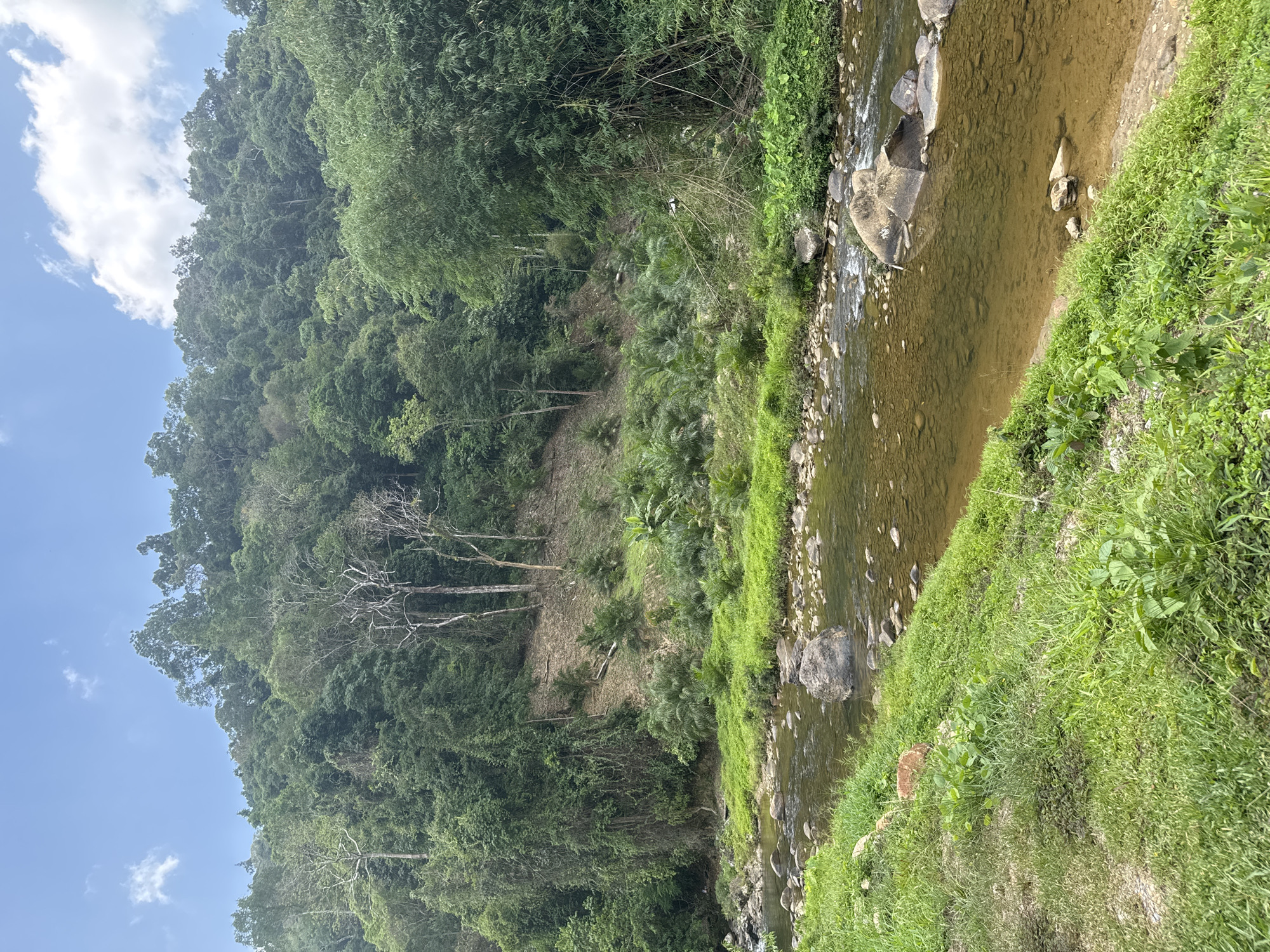 The image depicts a river scene in Tambon Song Phraek, Thailand. A river flows through the frame, with clear, shallow water revealing rocks on the riverbed. Lush green vegetation covers the riverbank on the right side. On the left, a dense forest slopes upwards. Evidence of deforestation is visible, with a patch of cleared land and several bare trees. The sky is visible in the upper left corner, showing a blue sky with scattered clouds.
