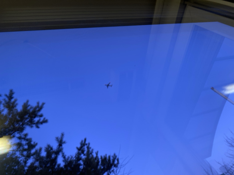 The image presents a daytime exterior scene, observed through a window in the city of Марфино, Russia. The dominant feature is a clear, deep blue sky. A single, small, dark-colored airplane is visible in the mid-distance, positioned in the lower-middle quadrant of the sky, appearing to fly horizontally. Silhouetted branches of a coniferous tree extend into the upper-left and mid-left sections of the frame. The right edge of the image is defined by a vertical window frame. The lower portion of the image contains indistinct reflections on the window surface, including blurred light-colored streaks and abstract shapes. No individuals are depicted.
