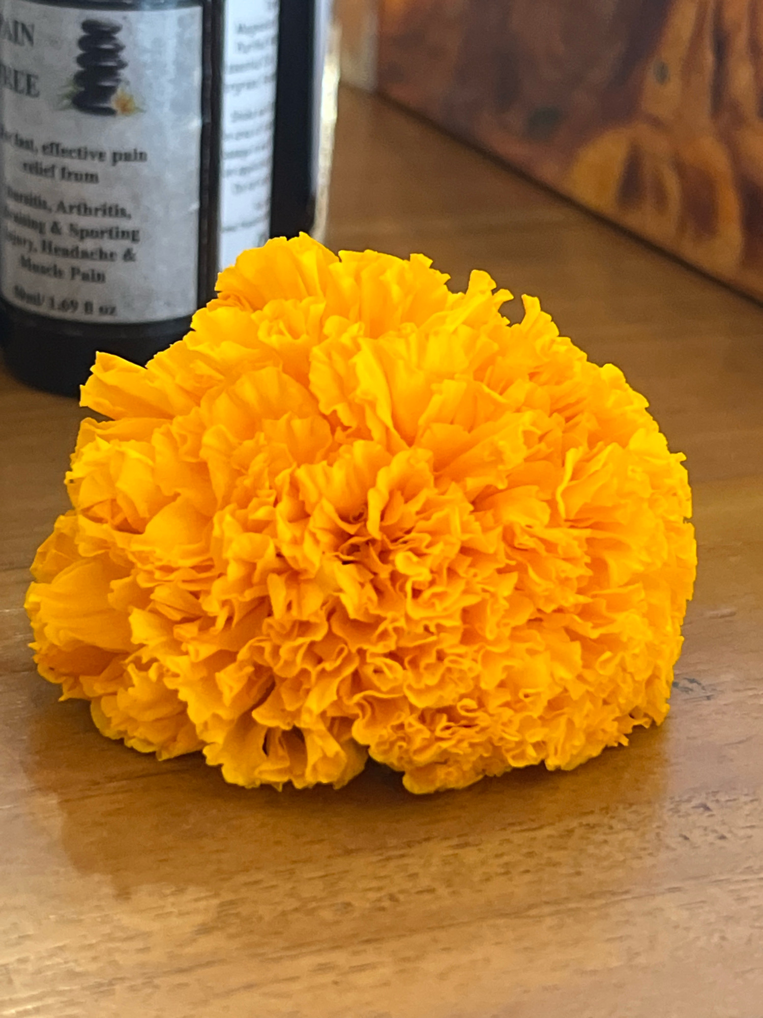 A bright orange marigold flower rests on a wooden surface in Kuta, Indonesia. Behind the flower, a dark glass bottle with a white label is visible, with text mentioning "PAIN FREE" and listing various ailments like "Arthritis," "Headache," and "Muscle Pain." To the right of the bottle, a blurred, brown object with an abstract pattern is present. The wooden surface displays a wood grain texture and reflects some light.