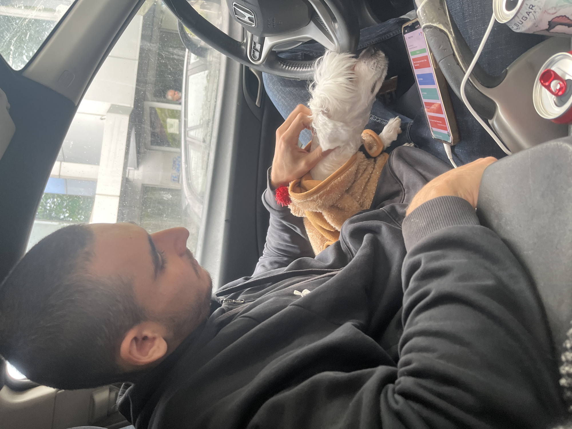 A man and his small white dog are inside a car, likely at a drive-thru or parked alongside a building. The image is taken from a slightly elevated, side angle, looking into the driver's seat.
The man, with dark hair and a light beard, is reclined or lying down in the driver's seat, facing towards the front passenger side. He is wearing a dark, possibly black, hooded sweatshirt with the hood down. His right hand is gently petting the small, fluffy white dog, which is nestled on his lap or near the steering wheel. The dog appears to be wearing a light brown, possibly plush or fuzzy, garment or harness.
On the dashboard or console area, to the right of the man and dog, a mobile phone is propped up and appears to be charging. The phone screen displays what looks like an app with the title "Home page" and a list of items with colored buttons (red, blue, green, gray) and text such as "Show," "Stop," "Checklist," "Status," and "New order." Next to the phone, two soda cans are visible; one red, and another white/pink with the word "SUGAR" visible on it. The car's steering wheel, bearing a Honda logo, is also clearly visible.
Through the car window, an external environment is visible, suggesting a building with modern architecture, possibly commercial or residential, with large glass panels. Streaks on the window suggest it might be raining or has recently rained. A faint reflection or outline of a person's head can be seen outside the window, looking towards the car, possibly indicating a service window or interaction point. The overall lighting suggests it is daytime, but possibly overcast. The scene conveys a relaxed, casual atmosphere.