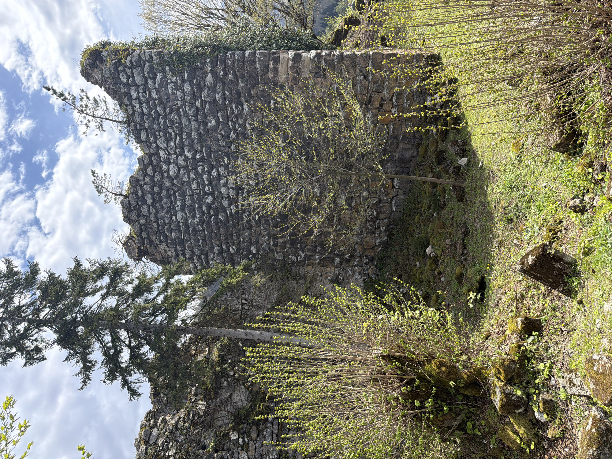 The image depicts the ruins of a stone structure, likely a section of a fortress or ancient building, located in what appears to be a mountainous or hilly terrain. The structure is constructed from roughly hewn stones and is partially covered in vegetation, including ivy and small trees growing out of cracks in the masonry. The ruin shows signs of significant decay and weathering. The surrounding environment is green with grass, small bushes, and trees. A patch of blue sky with fluffy white clouds is visible above the ruined structure. The picture most likely depicts the ruins of the Vakhani Fortress in Georgia.