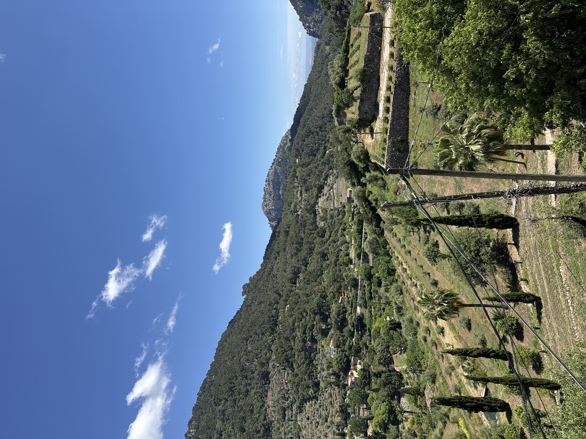 The image is a landscape taken in Valldemossa, Spain. The focus is on a terraced hillside covered in olive groves and various trees, including palm trees and tall, slender cypresses. Stone retaining walls support the terraces. Power lines stretch across the lower right foreground. In the distance is a rugged mountain range, and a sliver of ocean is visible at the top of the frame. The sky is a clear, bright blue with scattered white clouds.