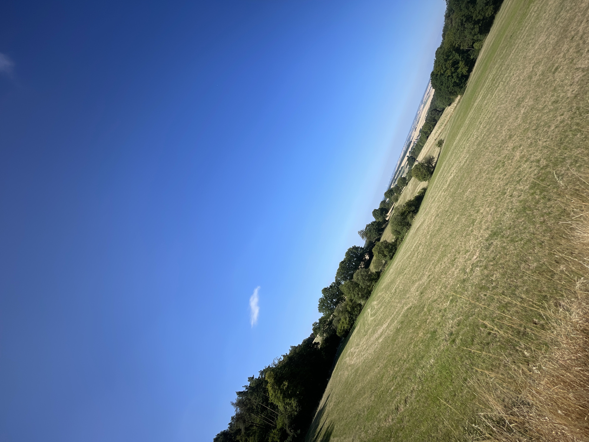 The image depicts a gently sloping, sunlit grassy field with dry hay in the foreground. A line of trees borders the field on the left and extends into the distance. The sky is a clear, vibrant blue with a single small white cloud. In the far distance, the landscape appears to be agricultural fields and trees, with a hint of structures that could be buildings or wind turbines. The tilt of the camera suggests it was taken from a higher vantage point, looking down and across the terrain. The scene conveys a sense of rural tranquility.